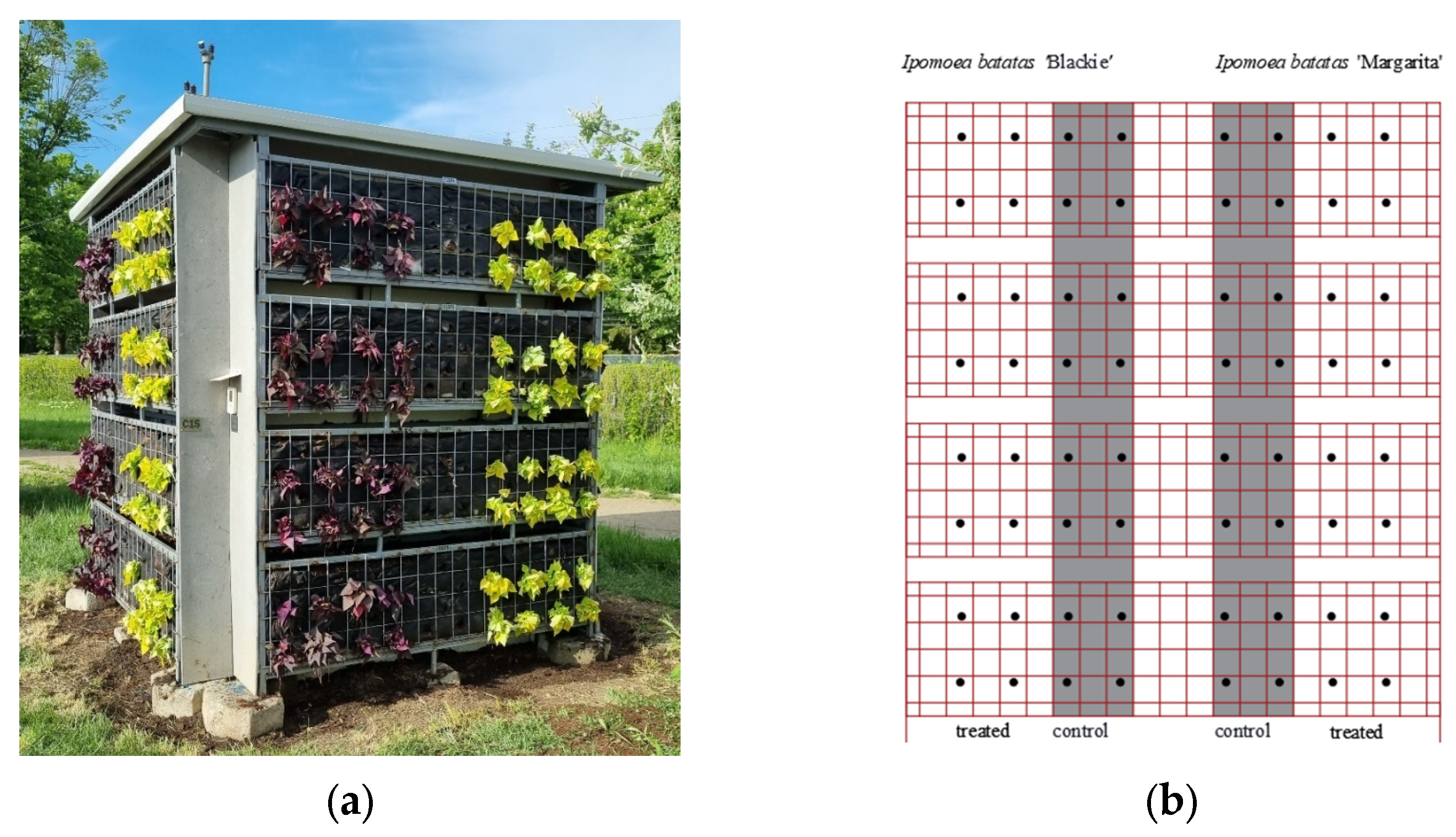 Horticulturae 10 00133 g003