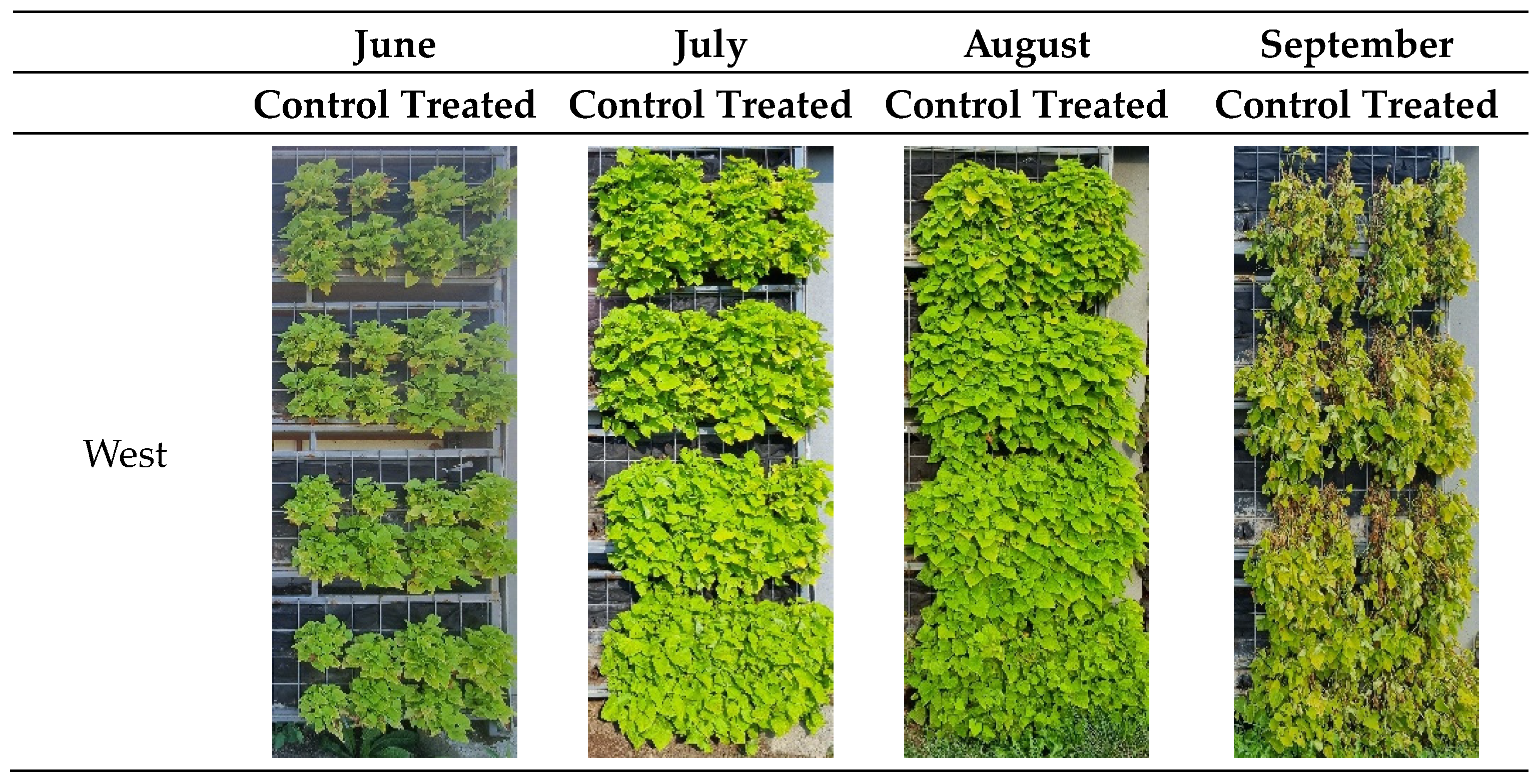 Horticulturae 10 00133 g008