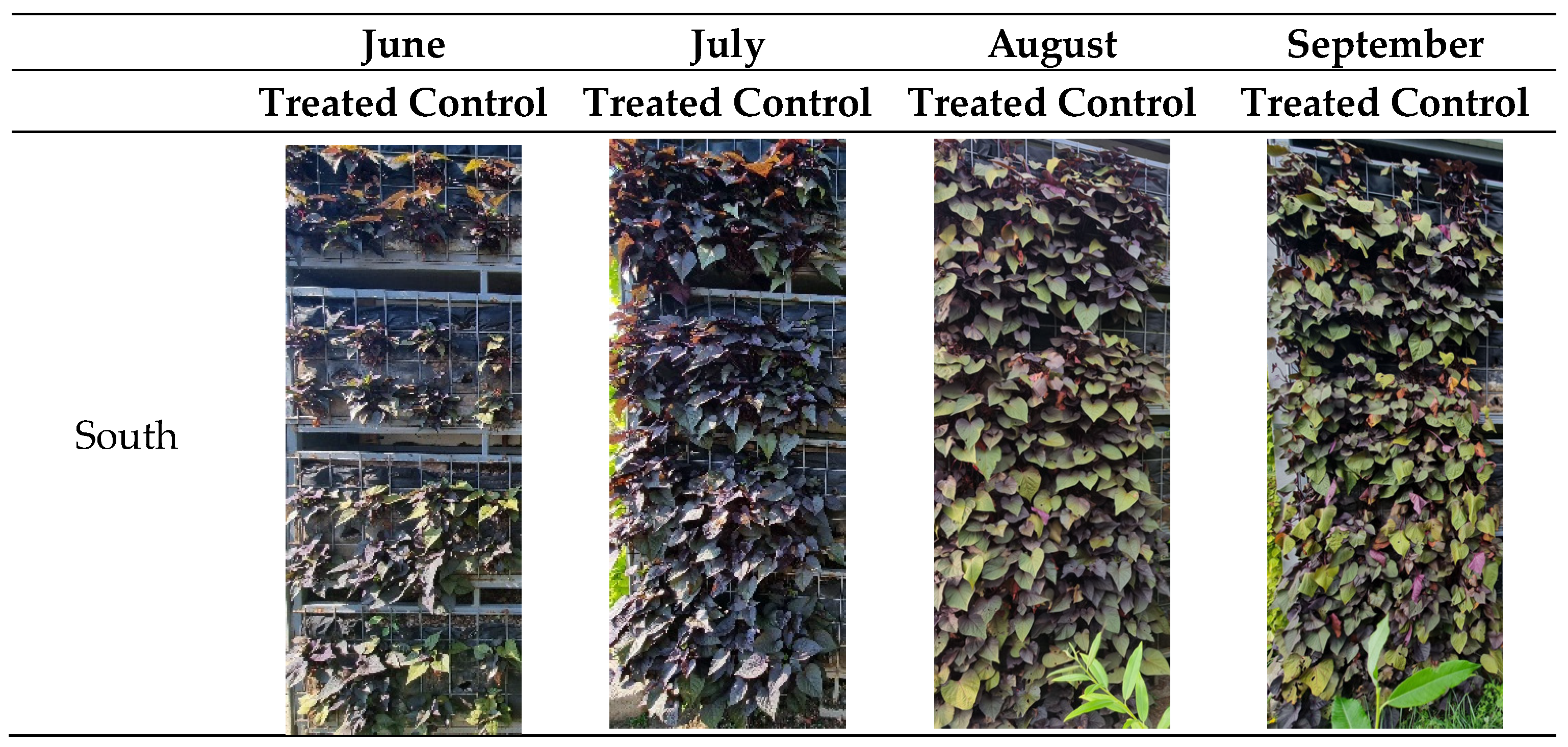 Horticulturae 10 00133 g011