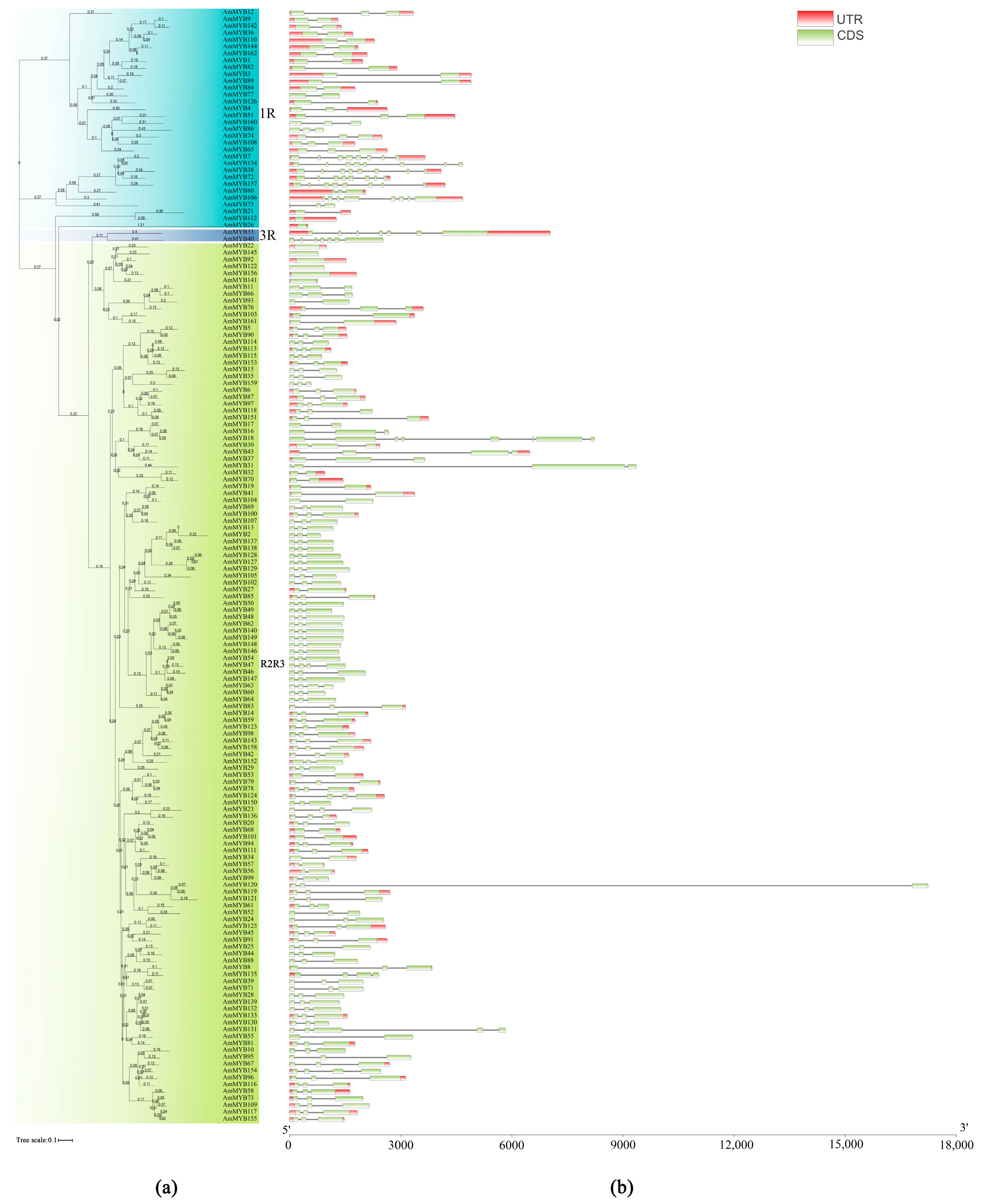 Horticulturae 10 00136 g001