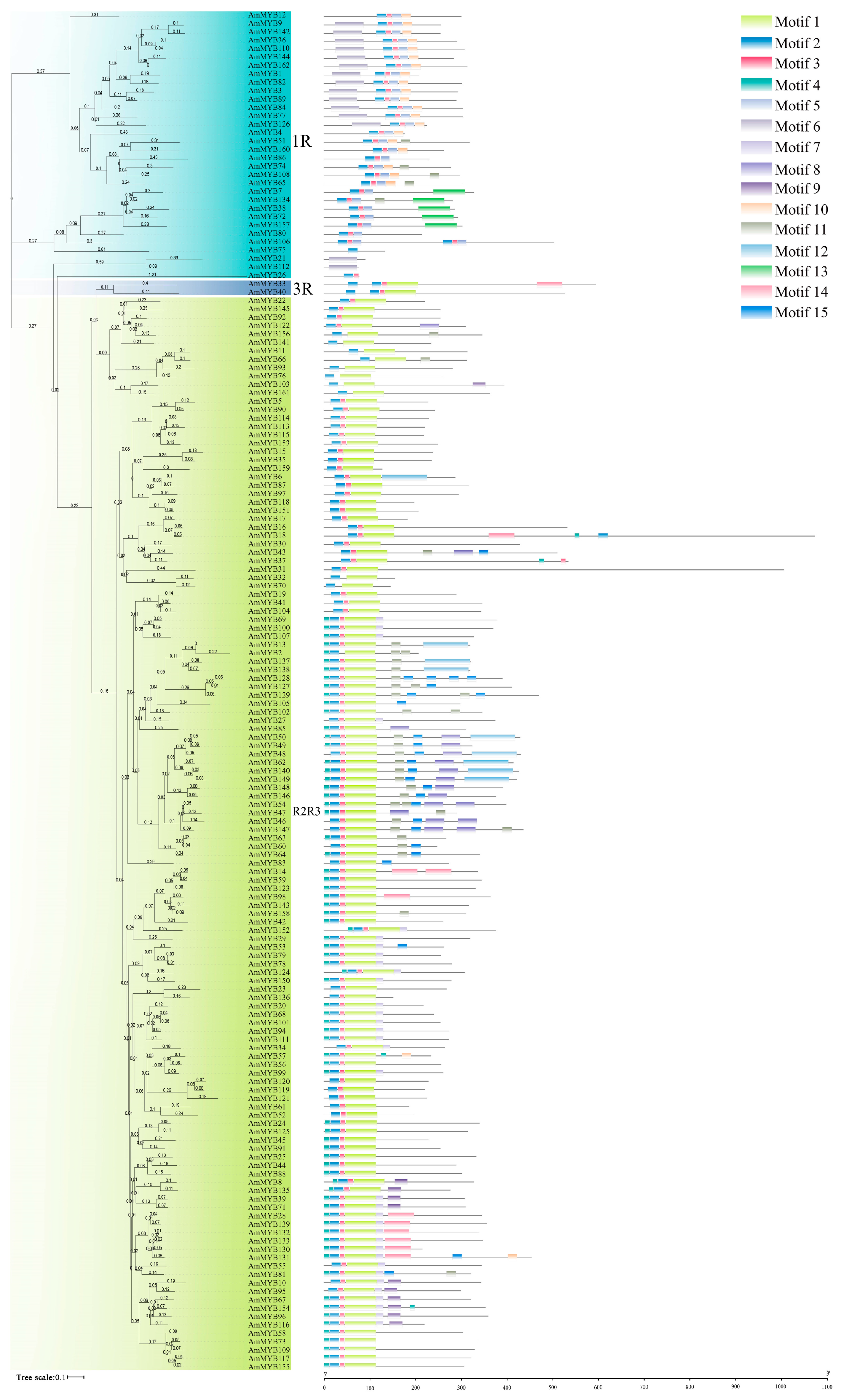 Horticulturae 10 00136 g002