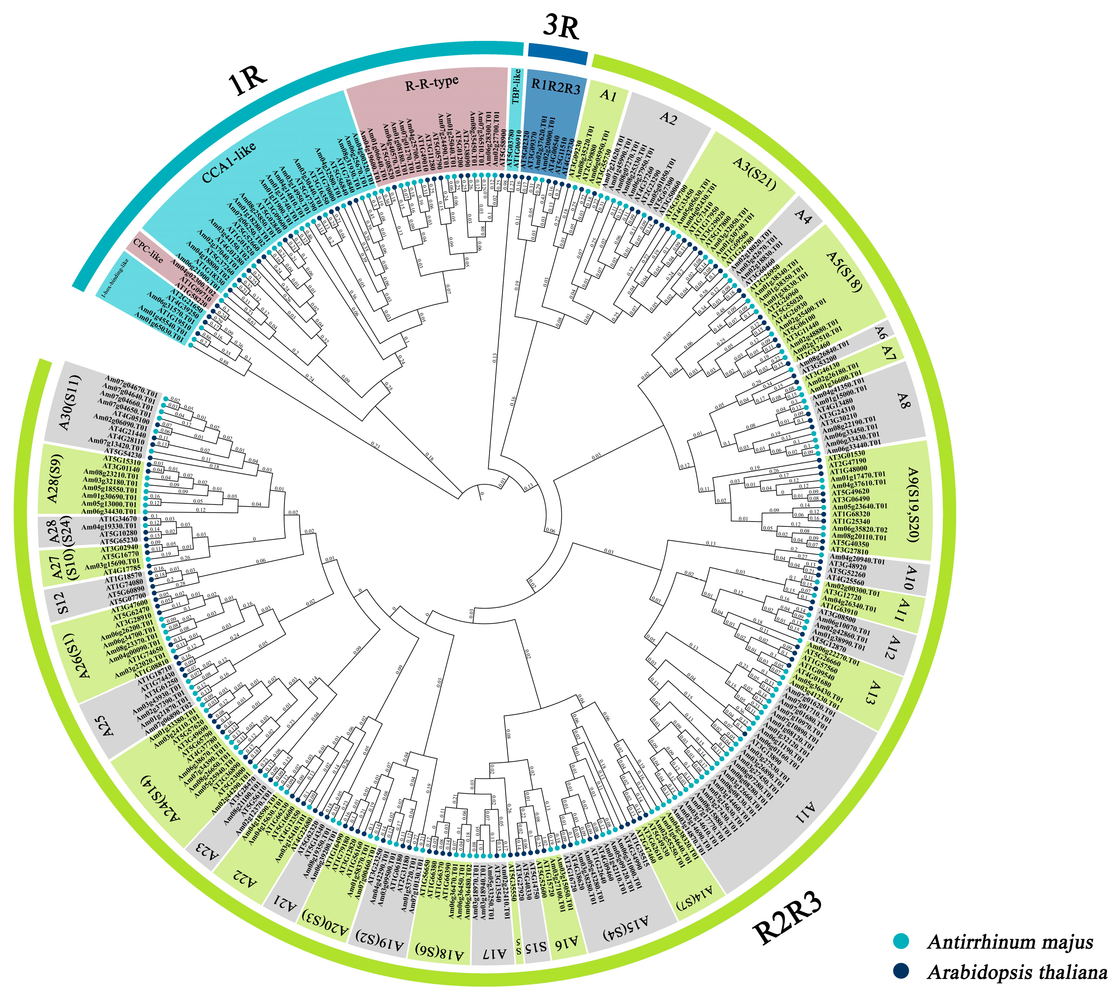 Horticulturae 10 00136 g003