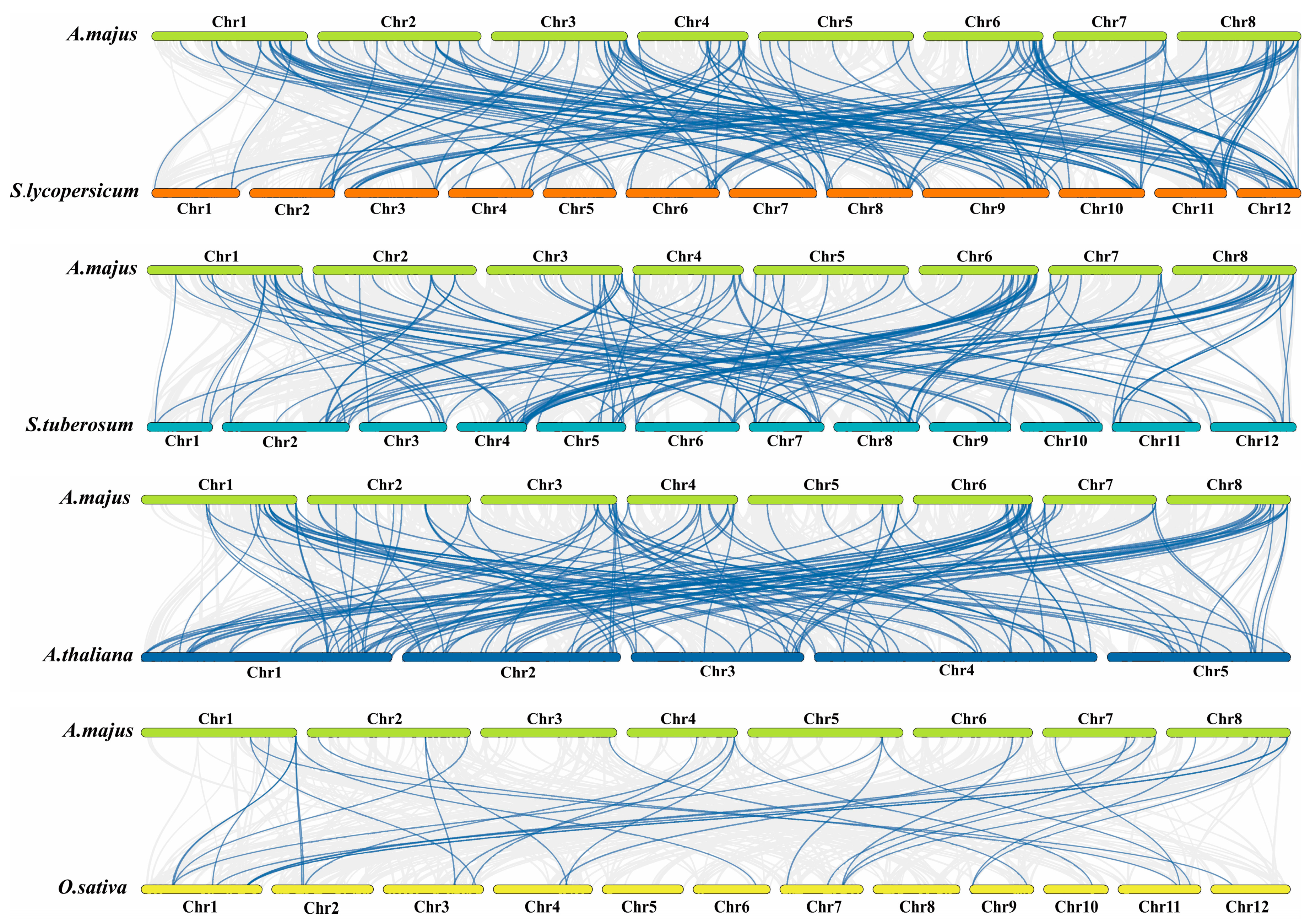 Horticulturae 10 00136 g006