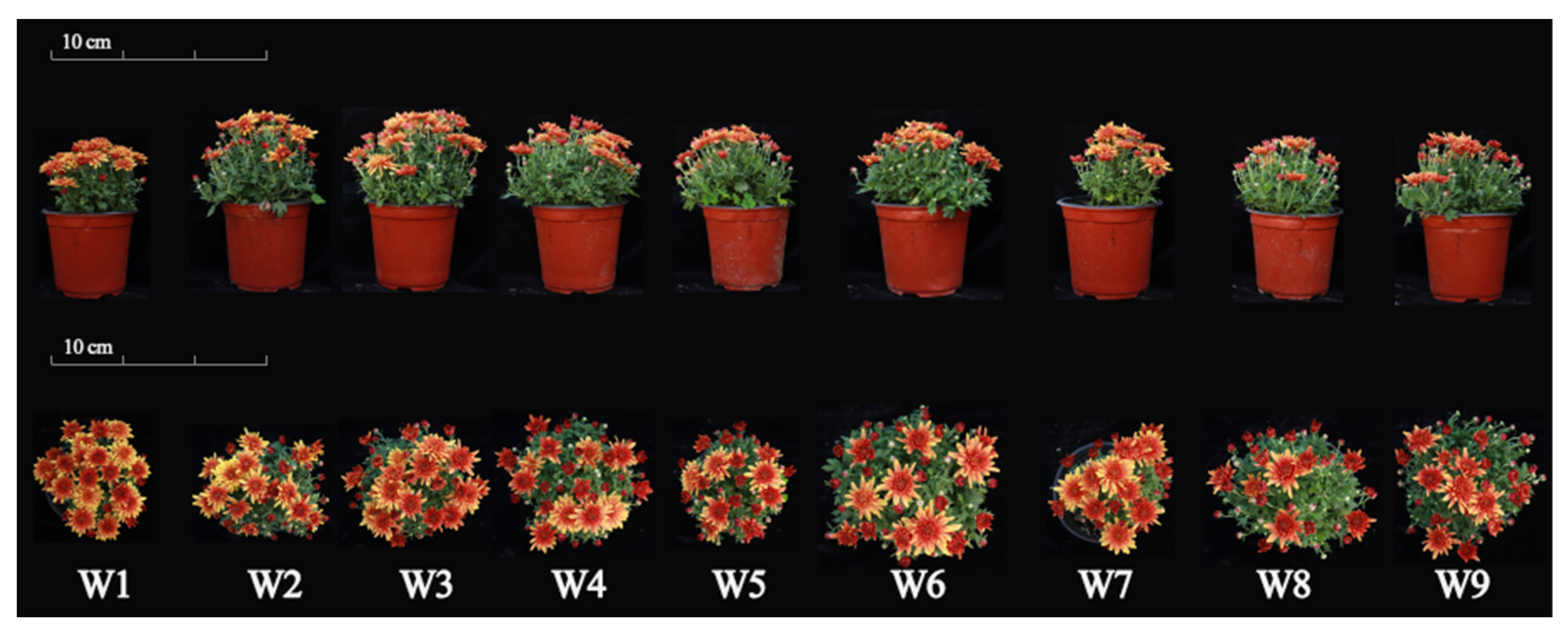 Horticulturae 10 00138 g014