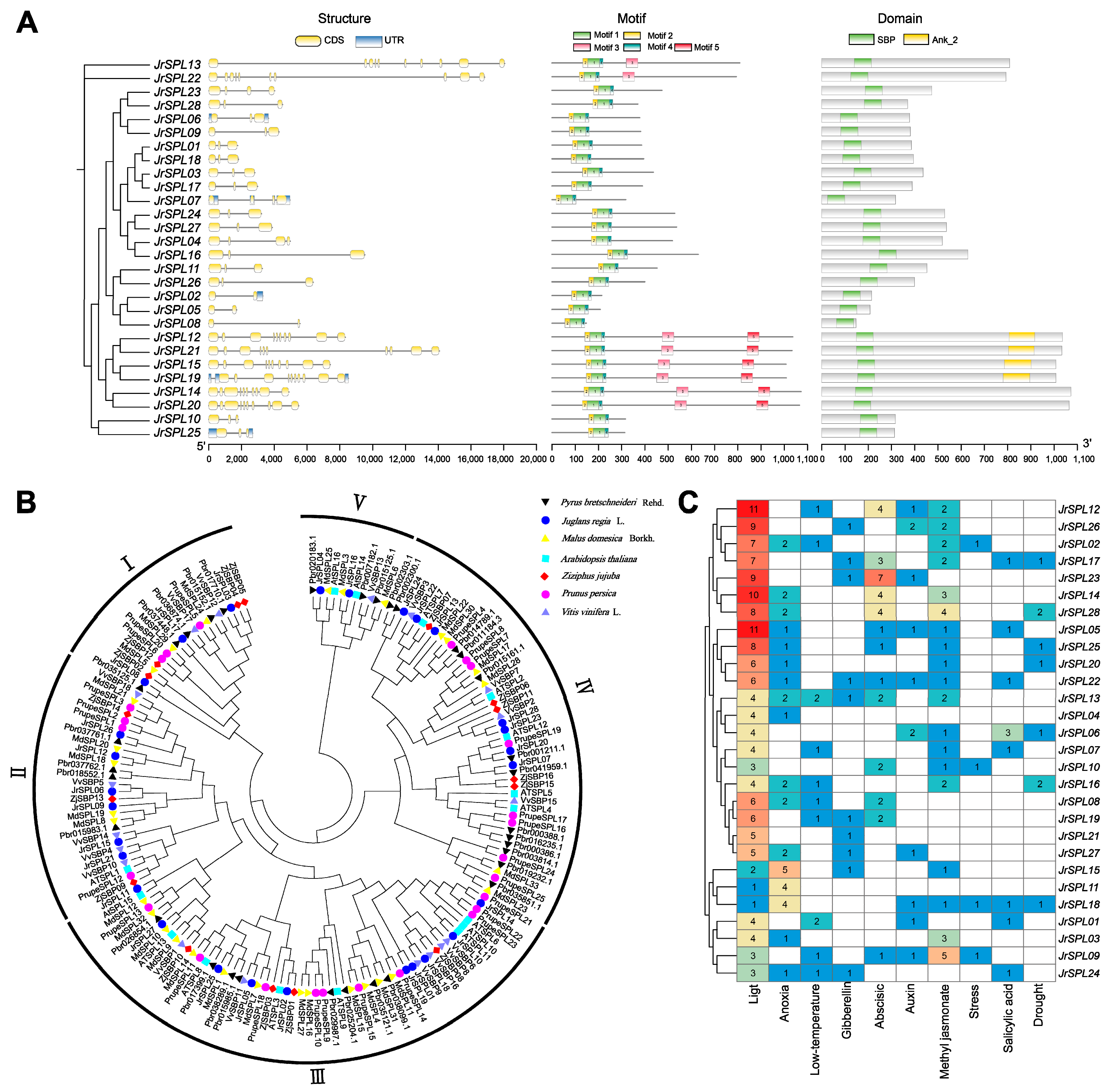 Horticulturae 10 00158 g001