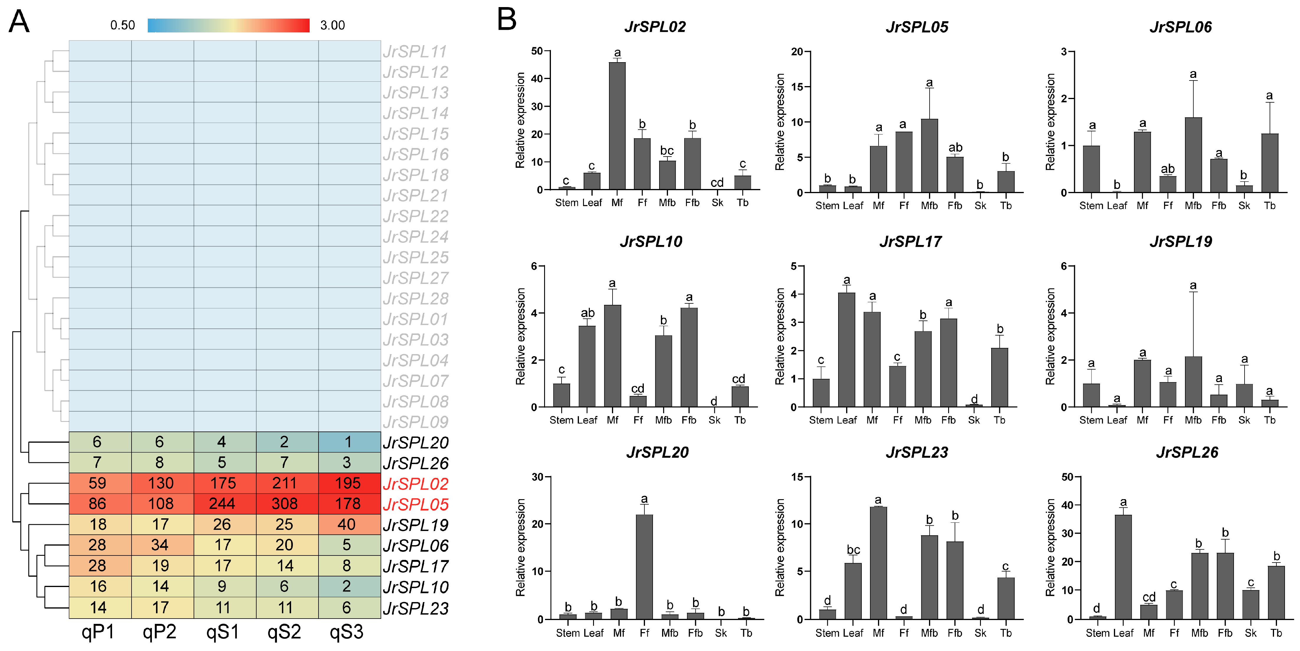 Horticulturae 10 00158 g002