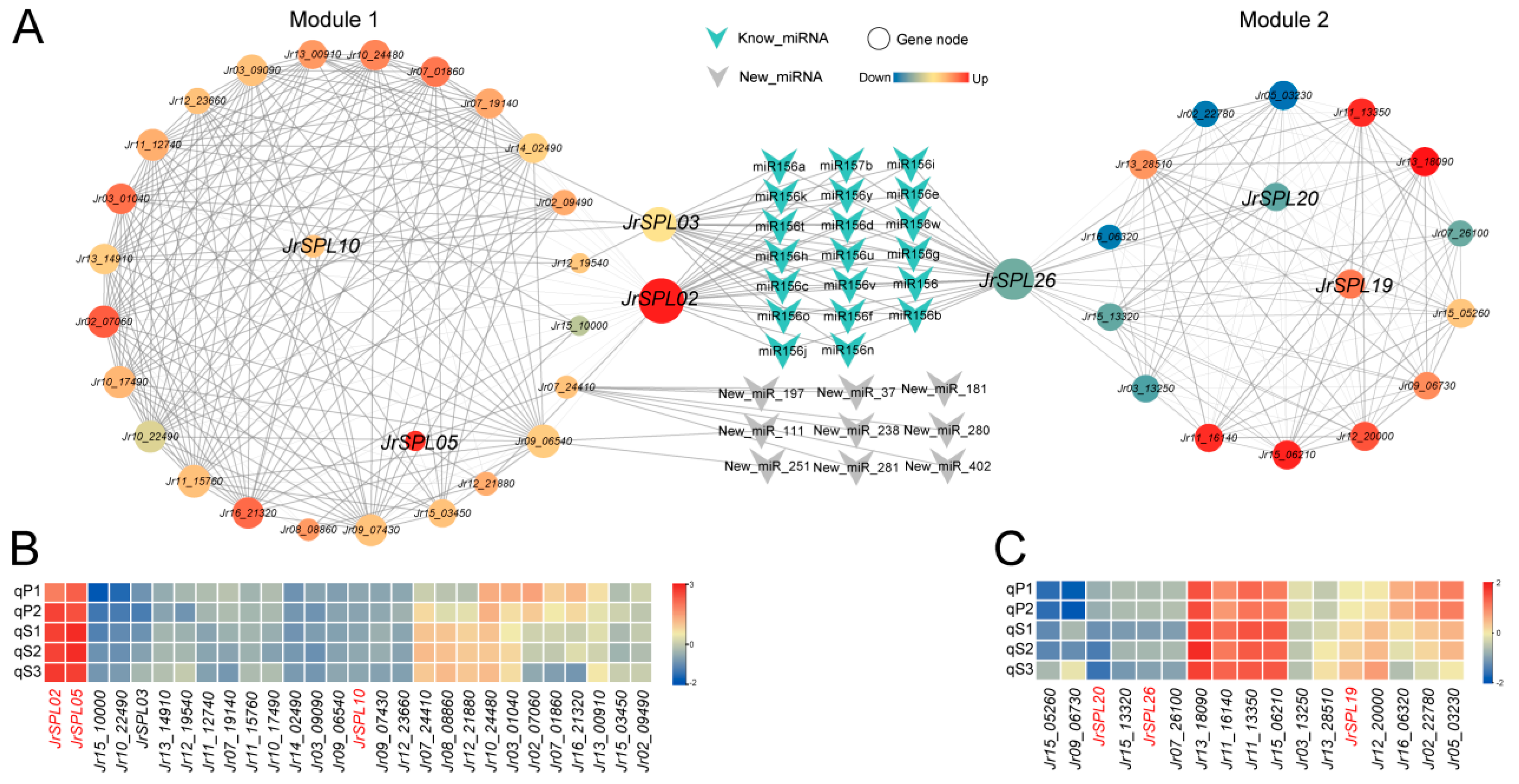 Horticulturae 10 00158 g004