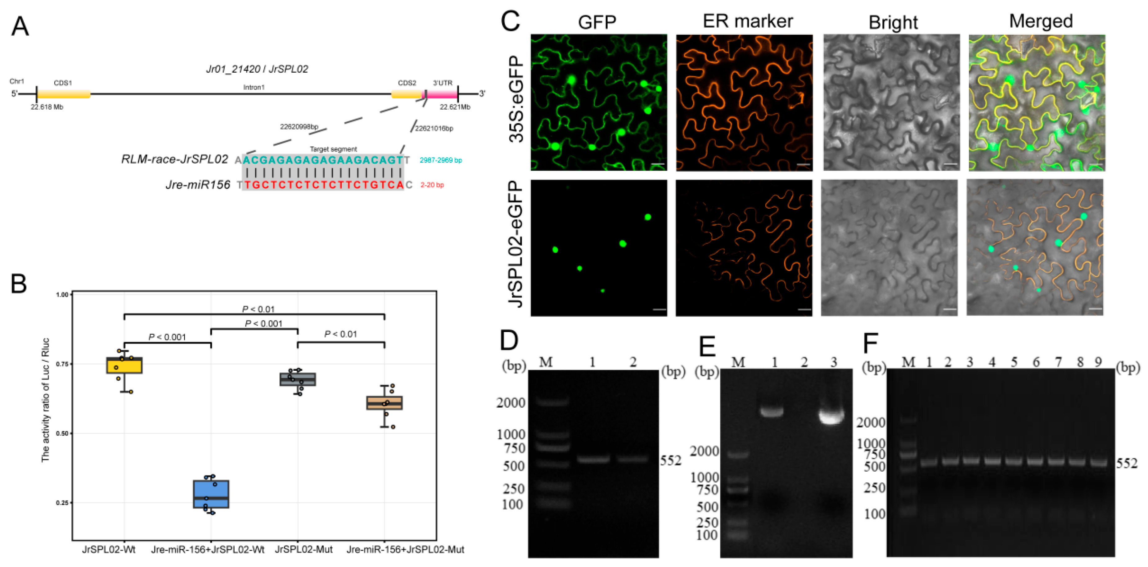 Horticulturae 10 00158 g005