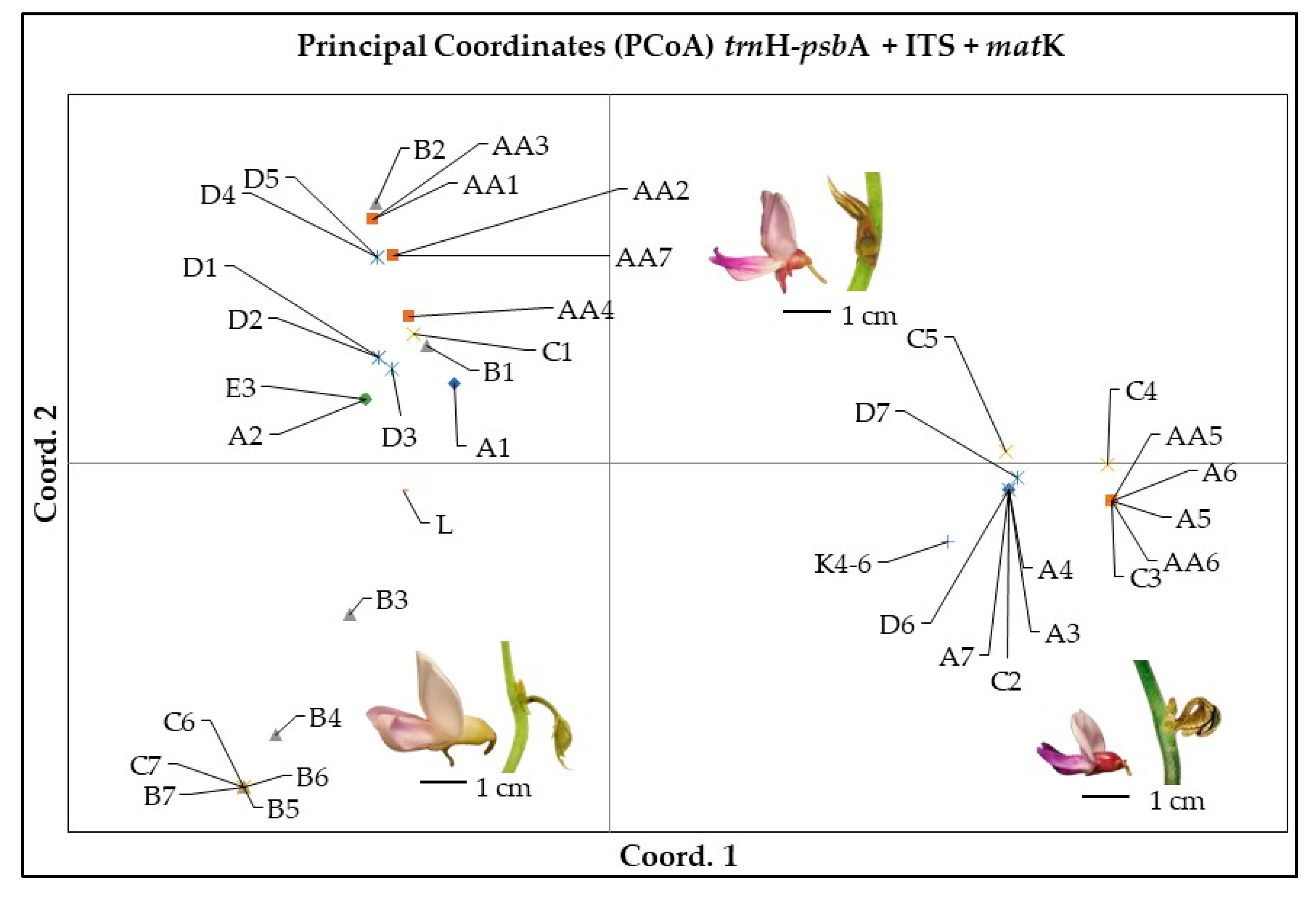 Horticulturae 10 00162 g007