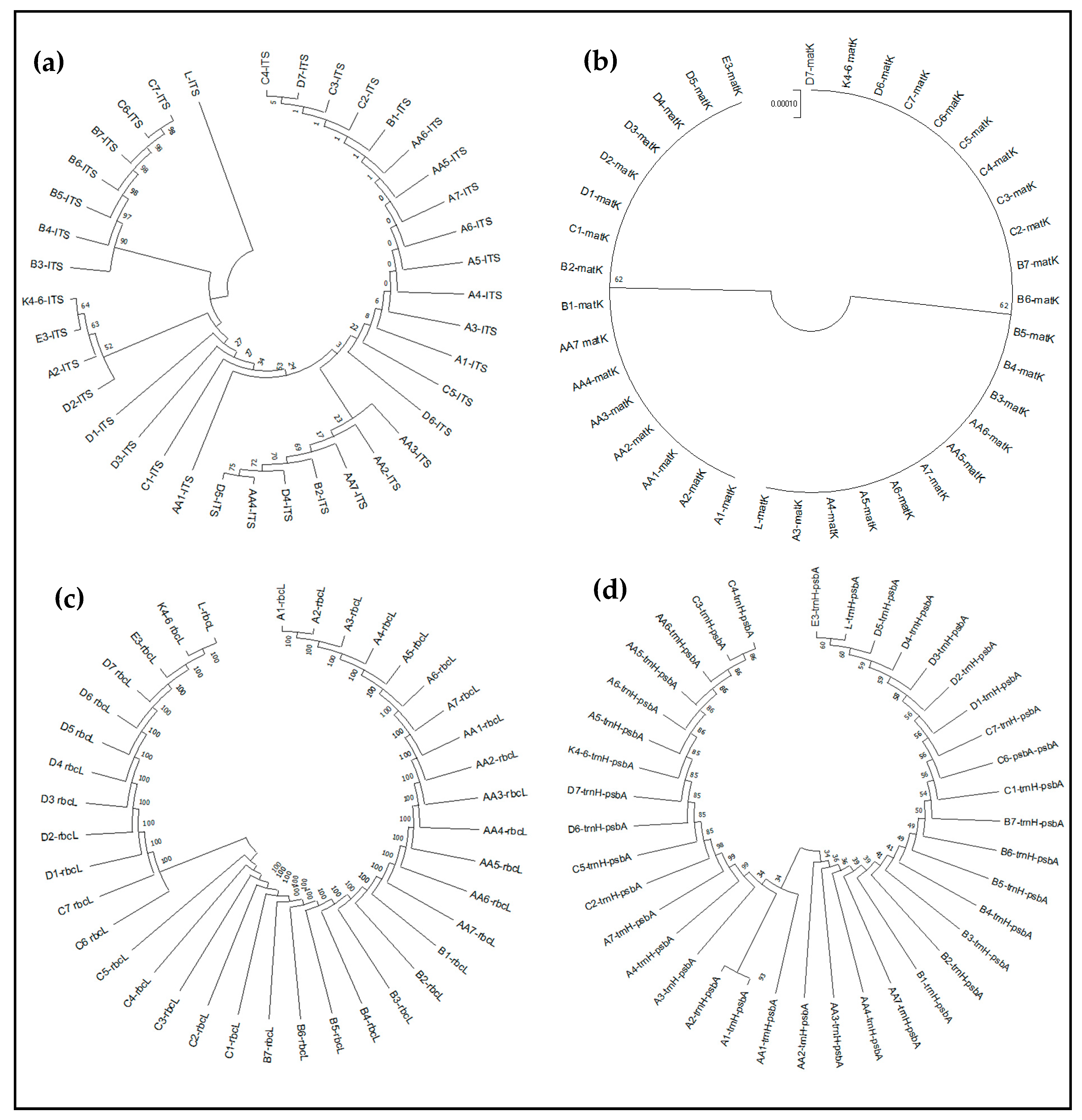 Horticulturae 10 00162 g008