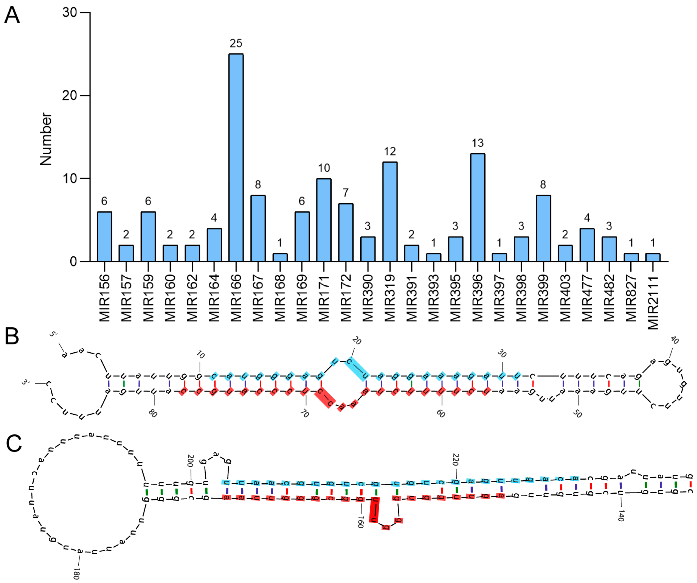Horticulturae 10 00173 g001