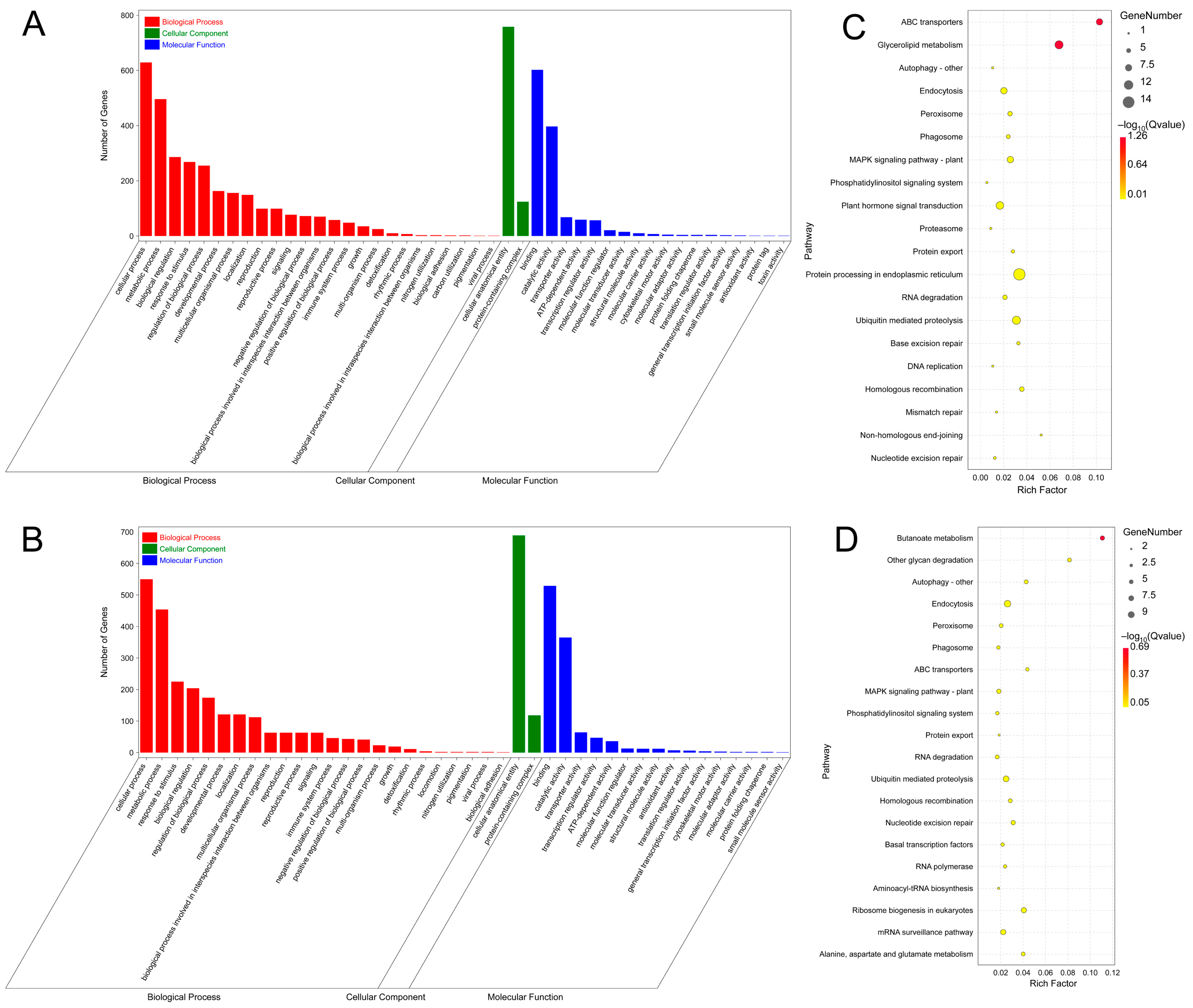 Horticulturae 10 00173 g006