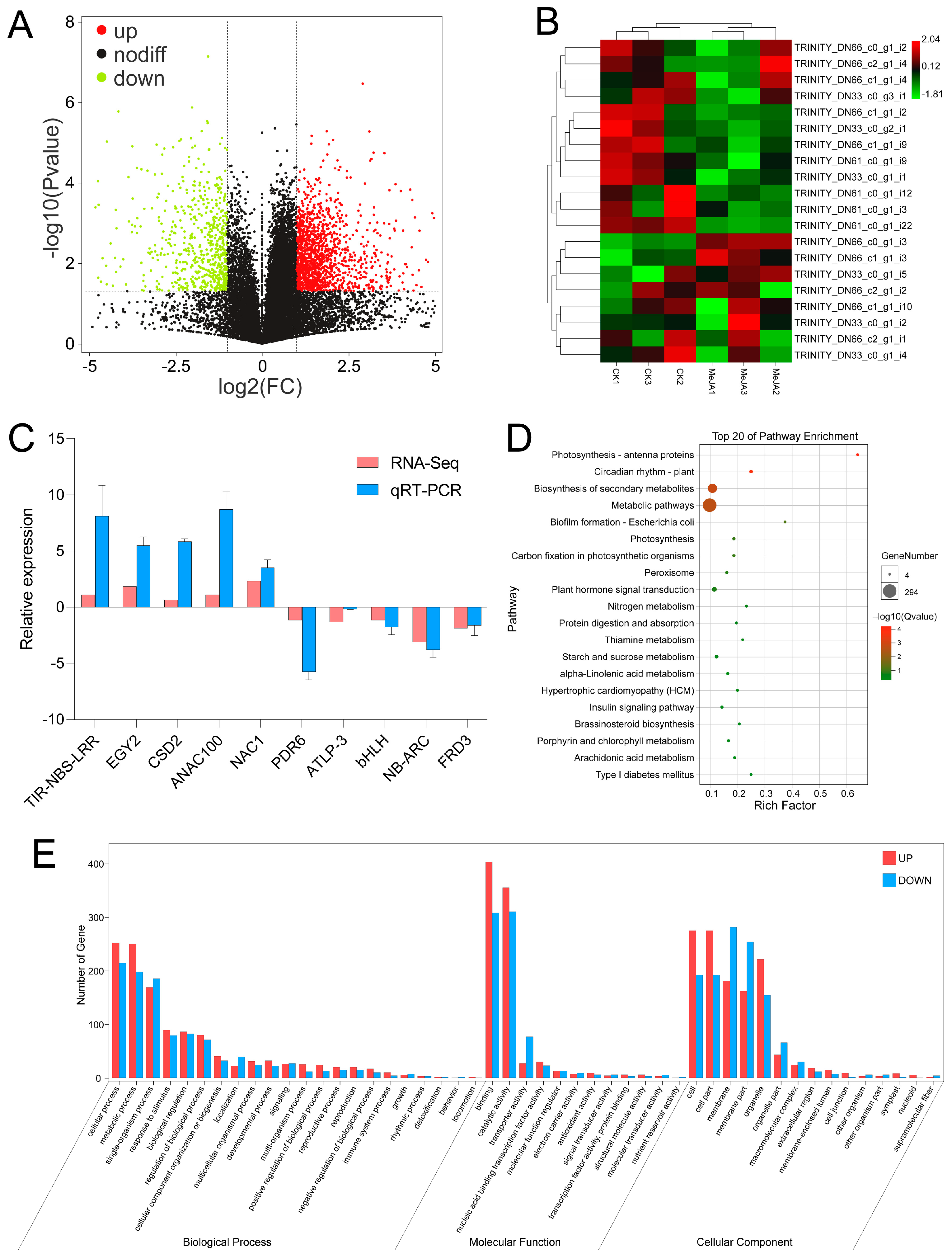 Horticulturae 10 00173 g007