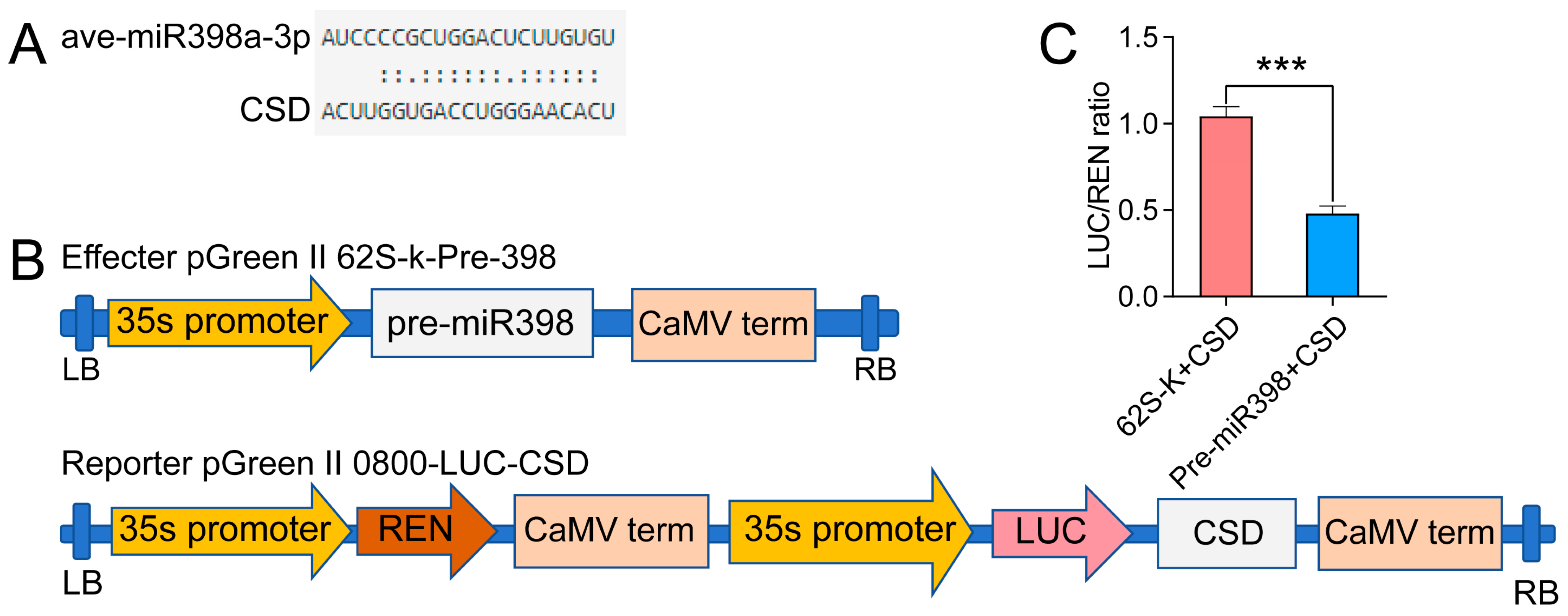 Horticulturae 10 00173 g009