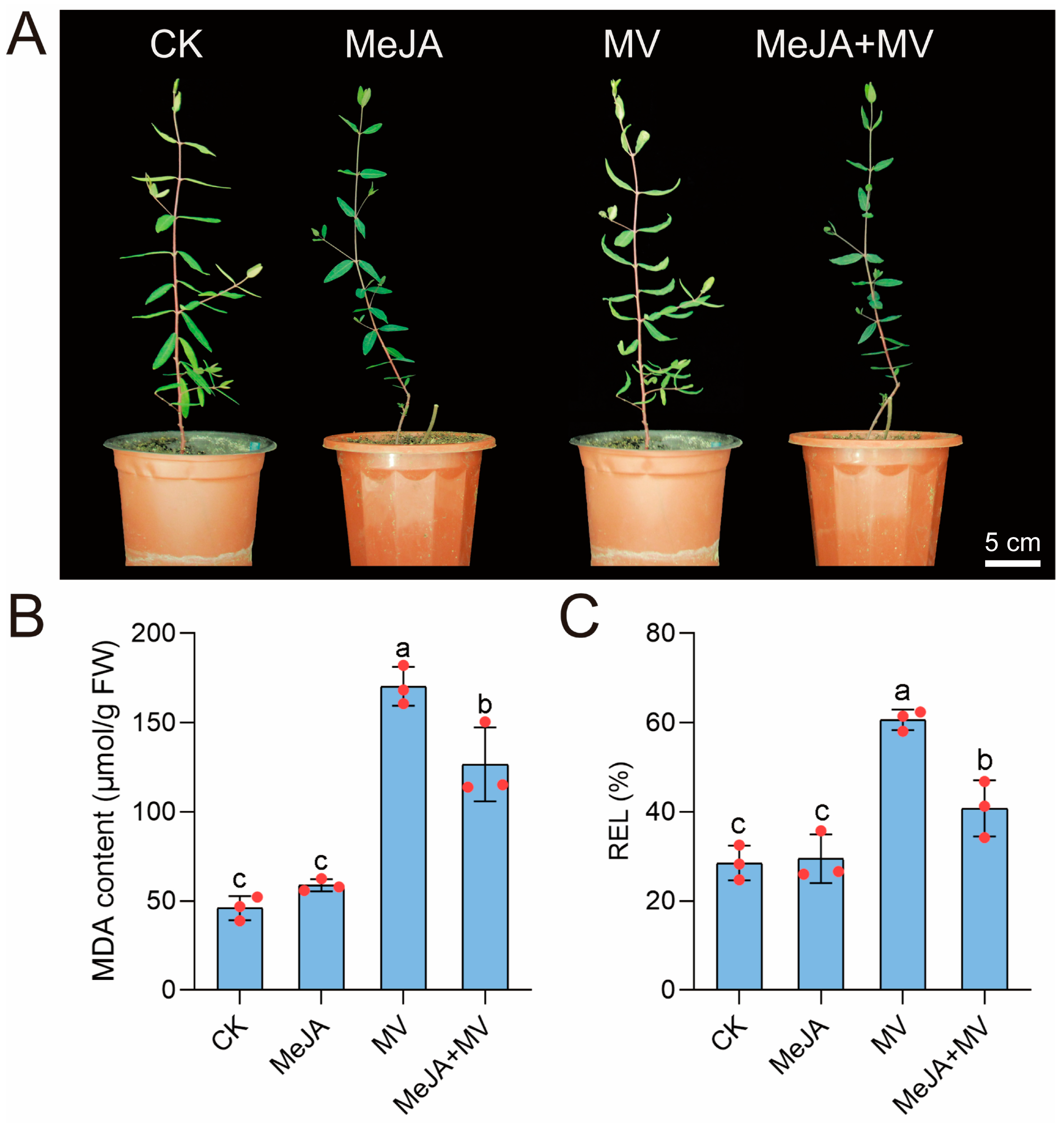 Horticulturae 10 00173 g010