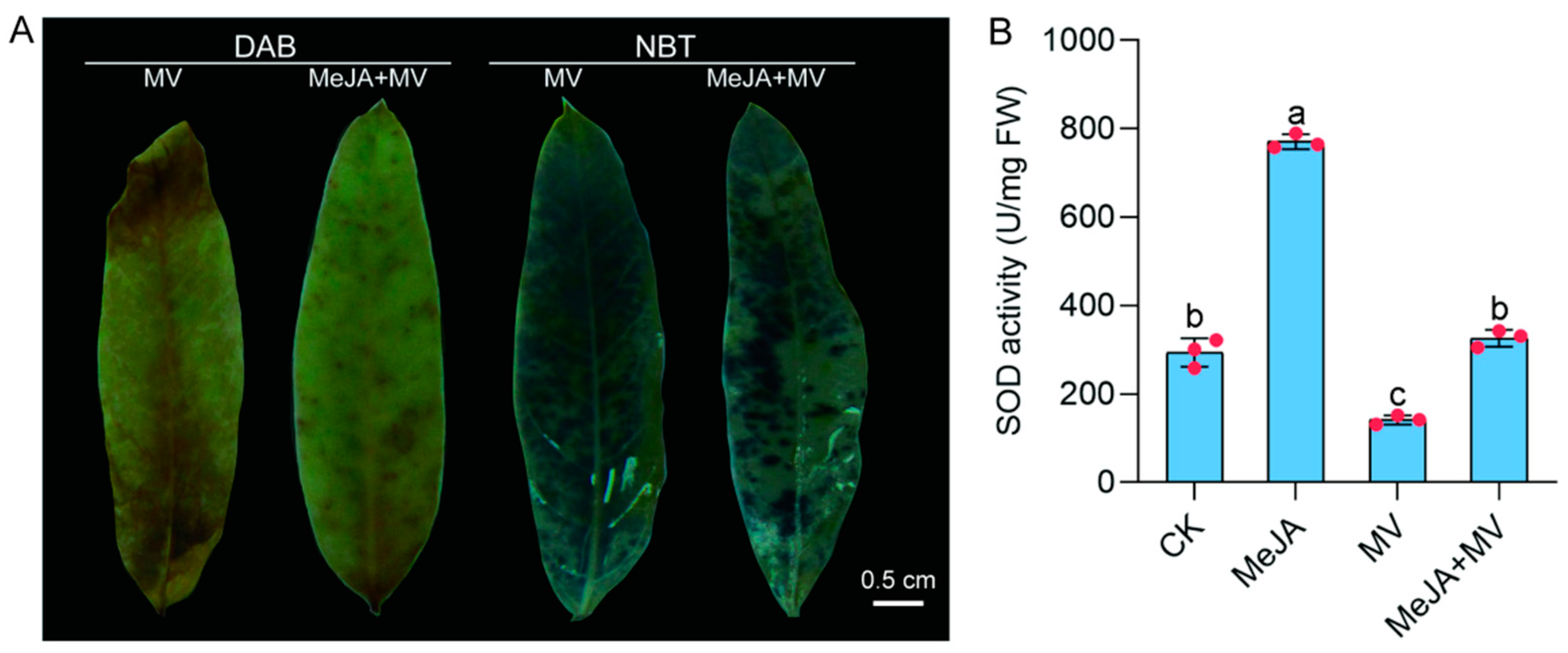 Horticulturae 10 00173 g011