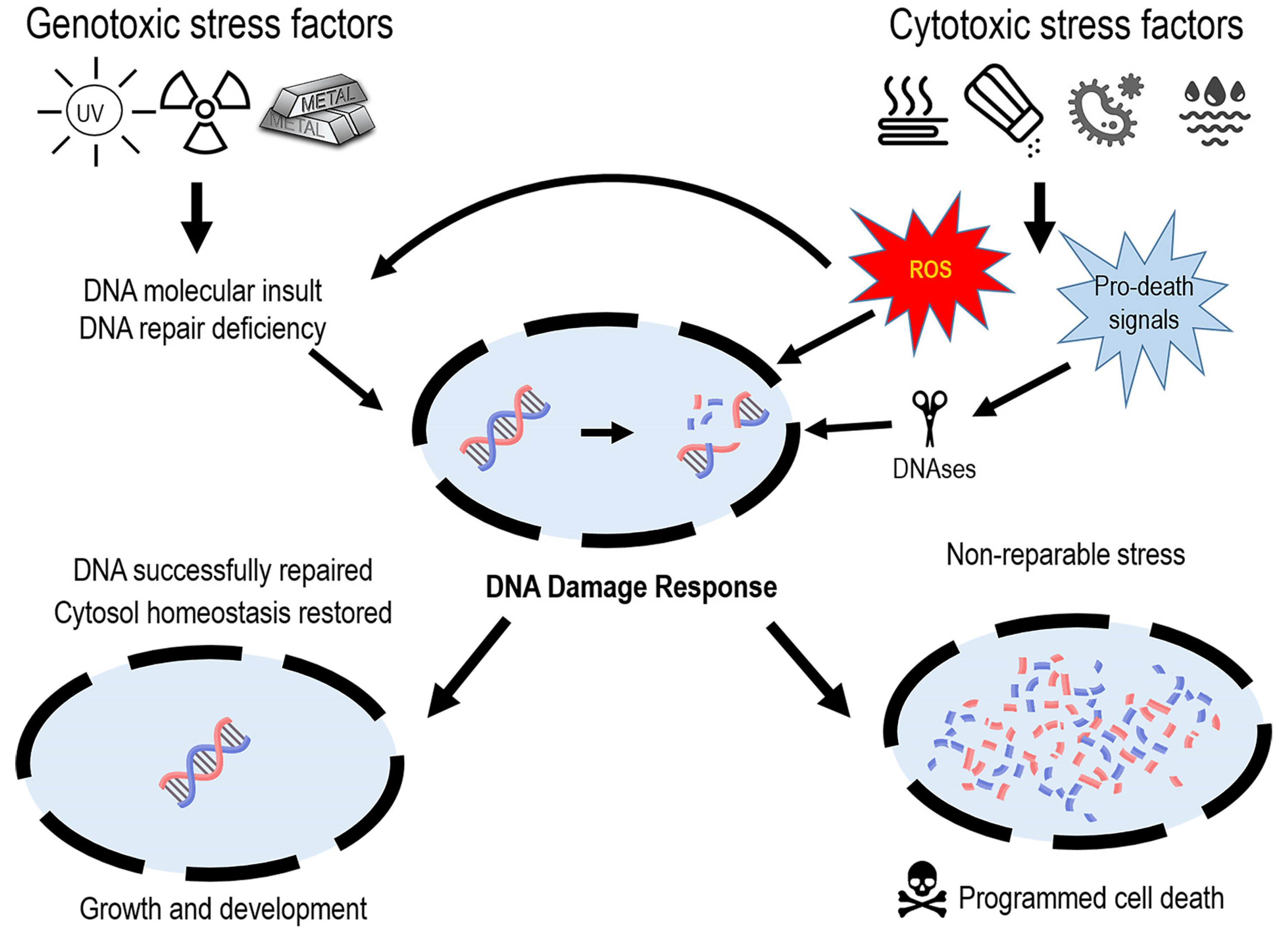 Horticulturae 10 00174 g001