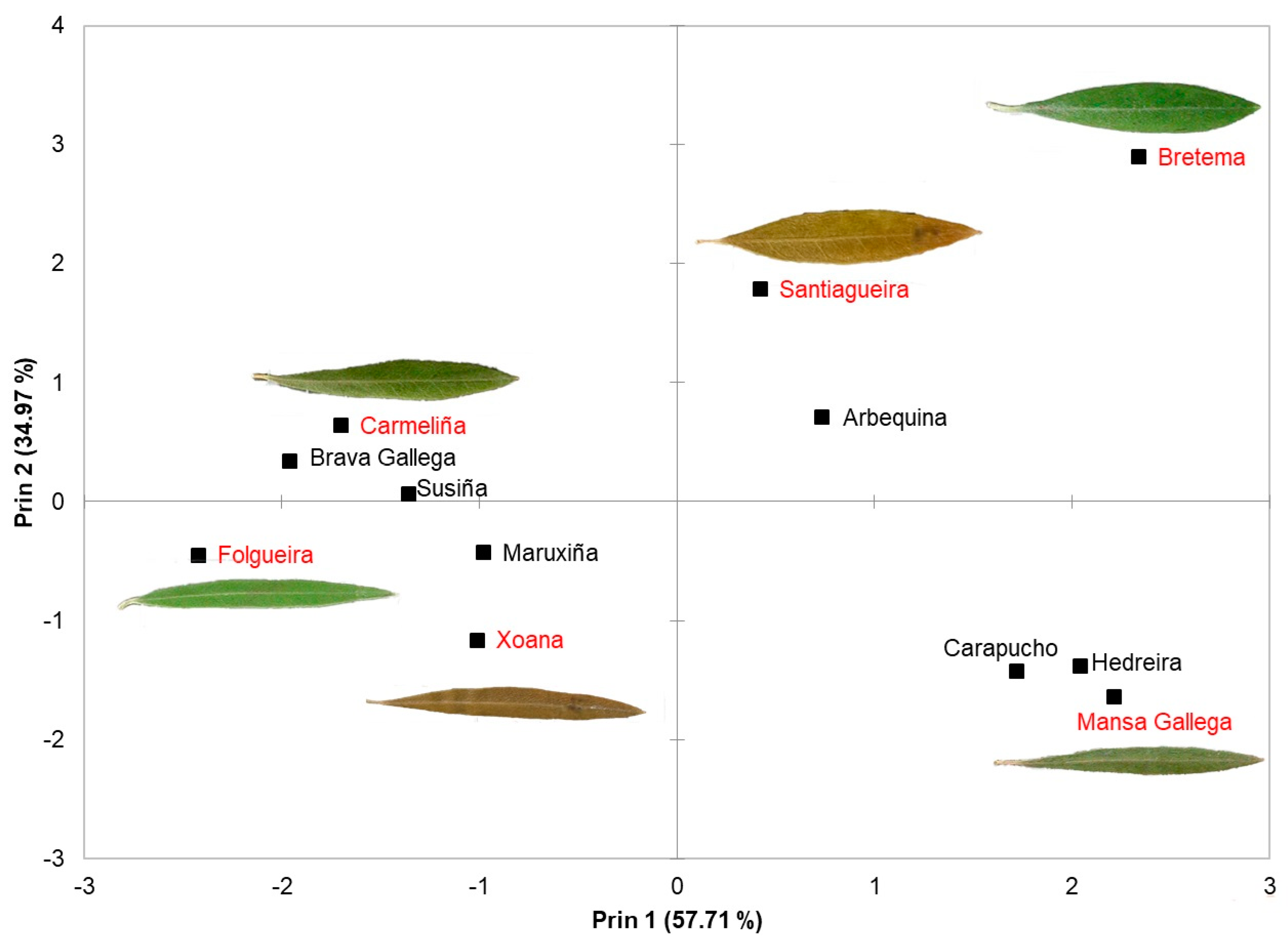 Horticulturae 10 00175 g004