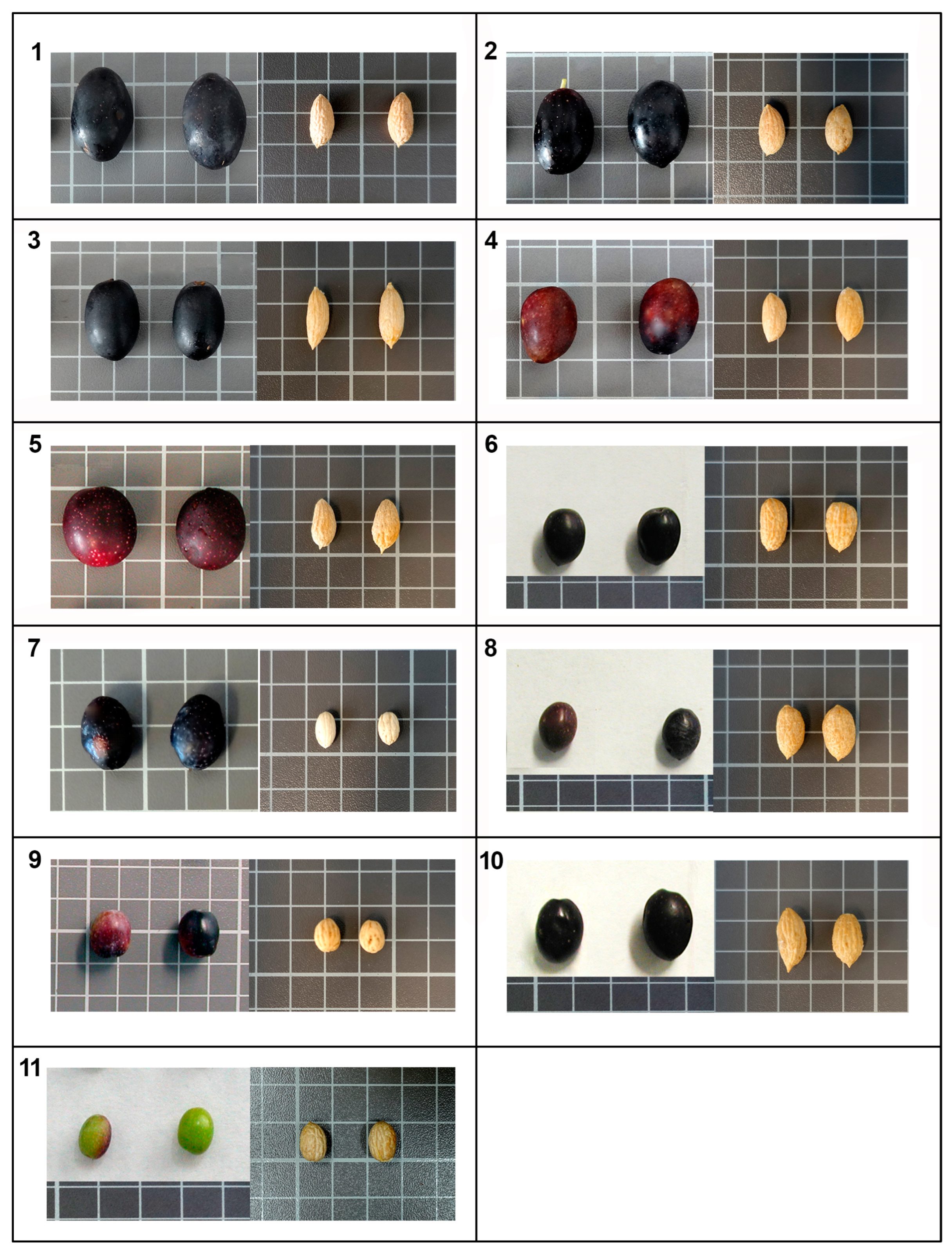 Horticulturae 10 00175 g008