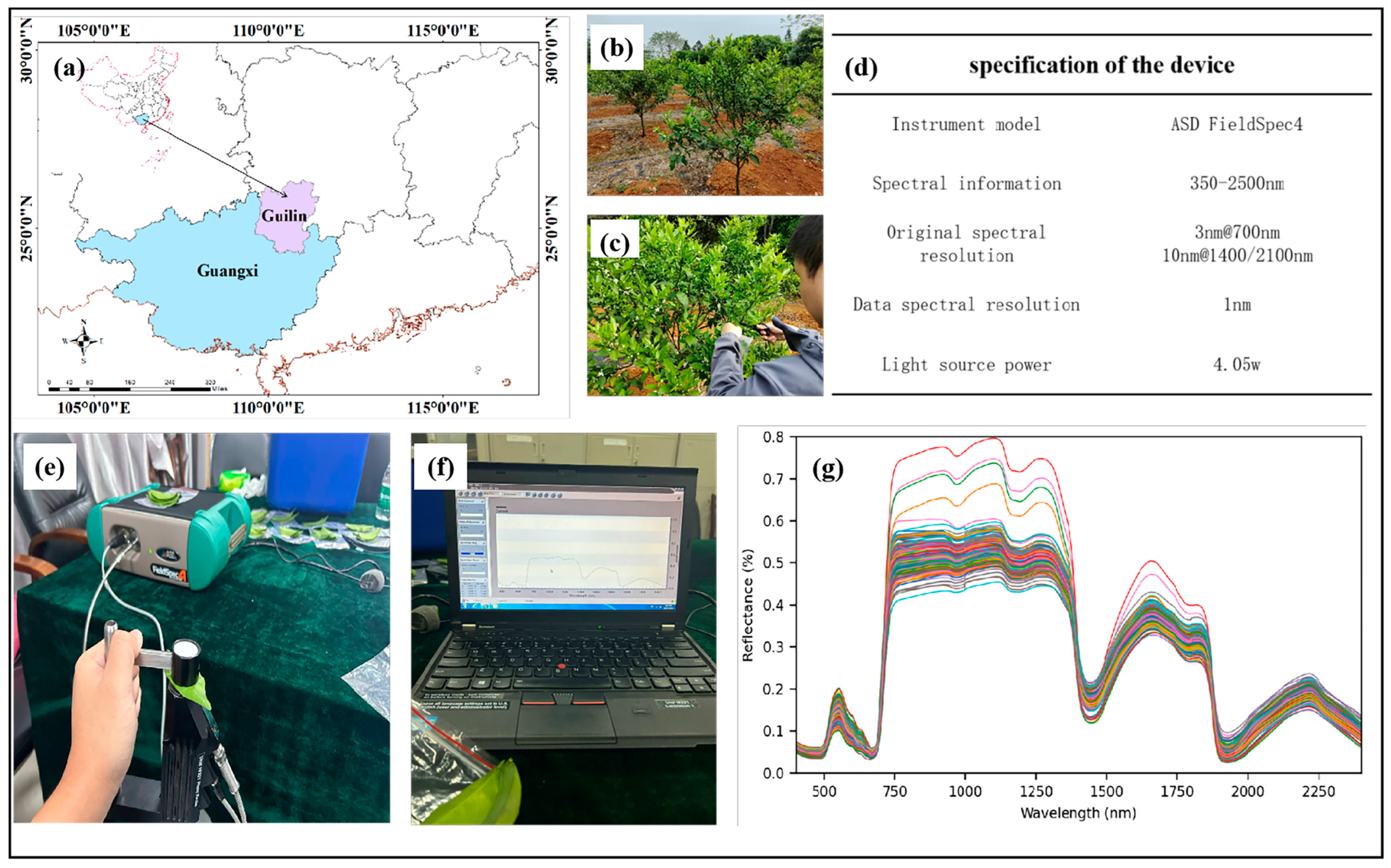 Horticulturae 10 00177 g001