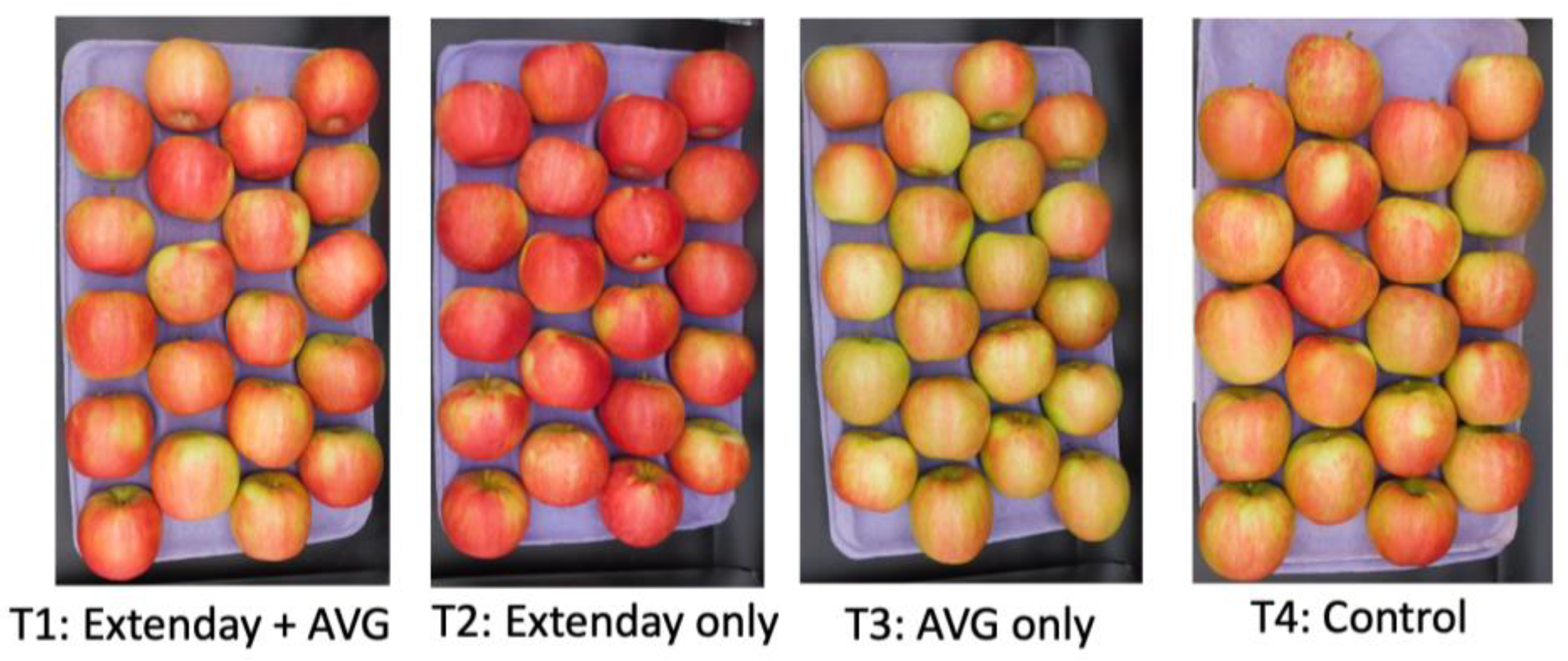 Horticulturae 10 00179 g002