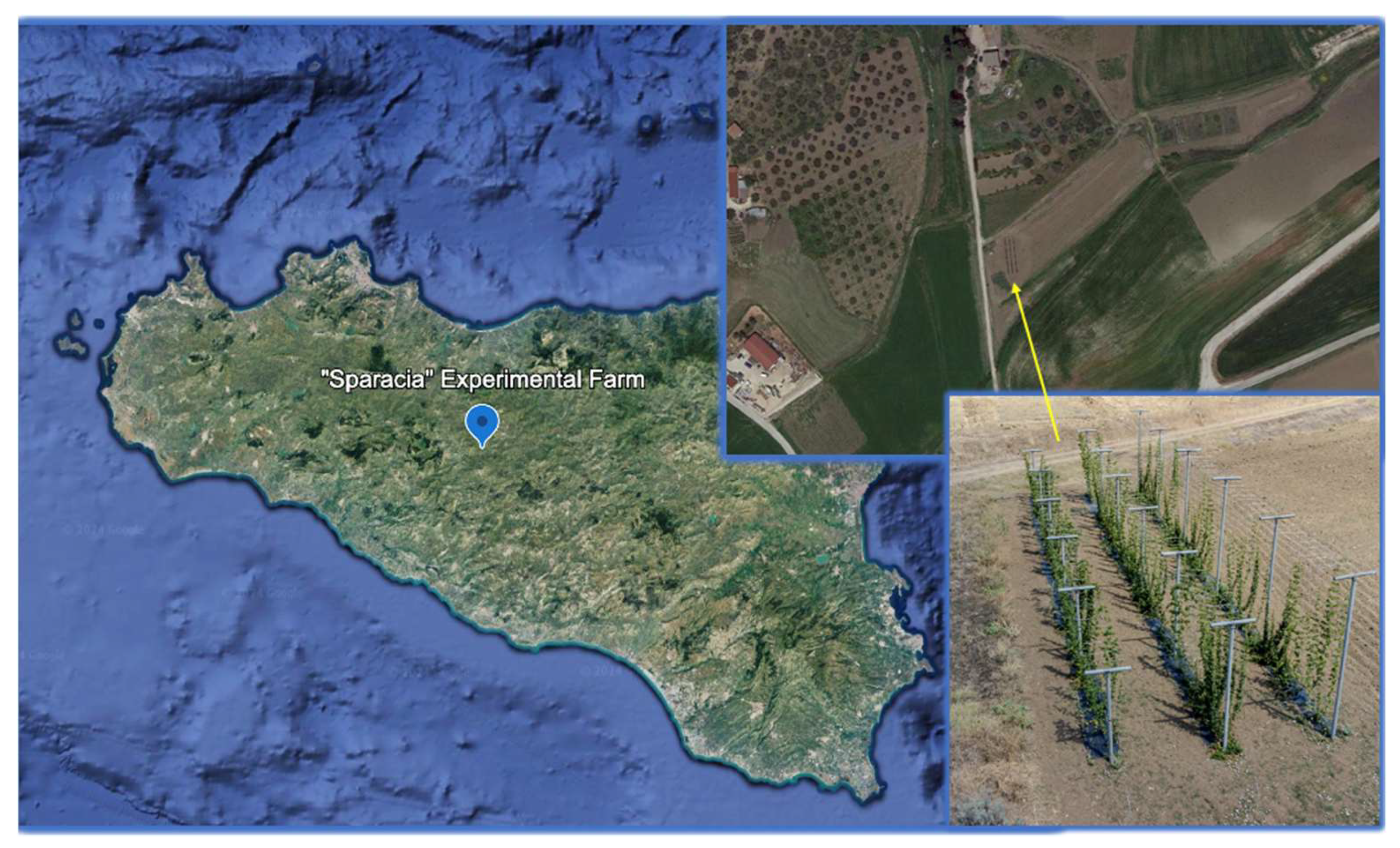 Horticulturae 10 00181 g001