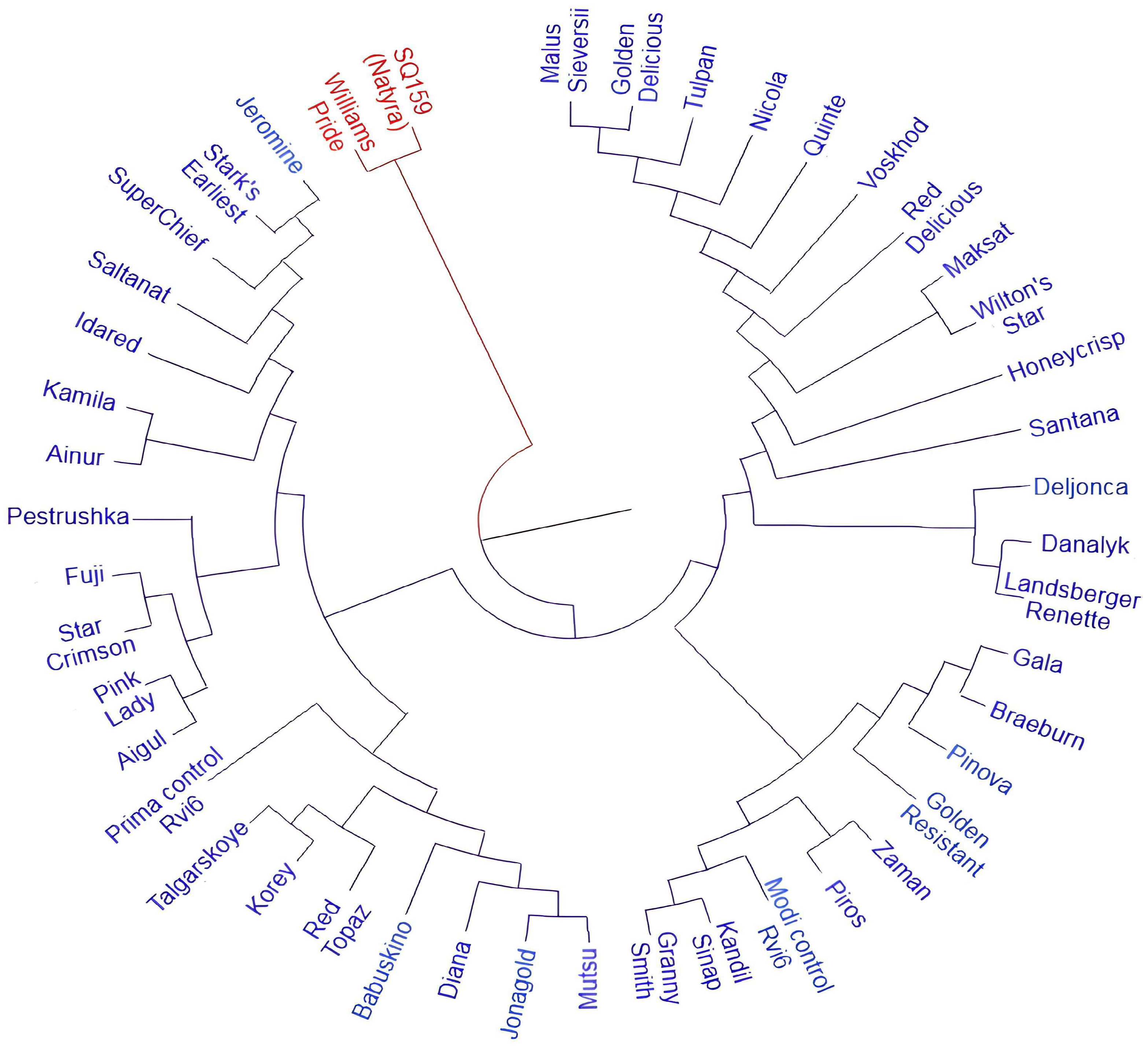 Horticulturae 10 00184 g001 Horticulturae 10 00184 g001