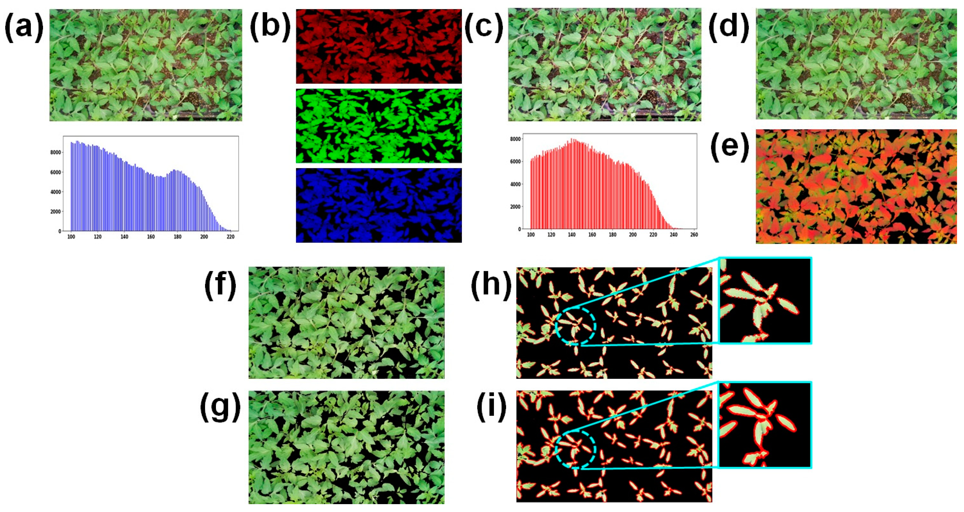 Horticulturae 10 00186 g006