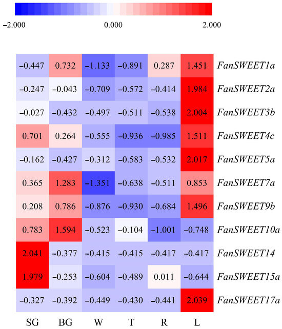 Genome-Wide Identification and Expression Analysis of SWEET