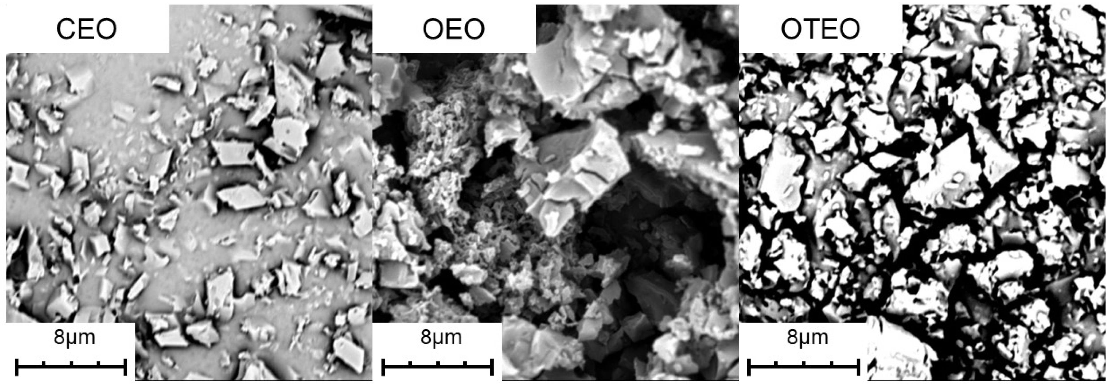 Horticulturae 10 00193 g001
