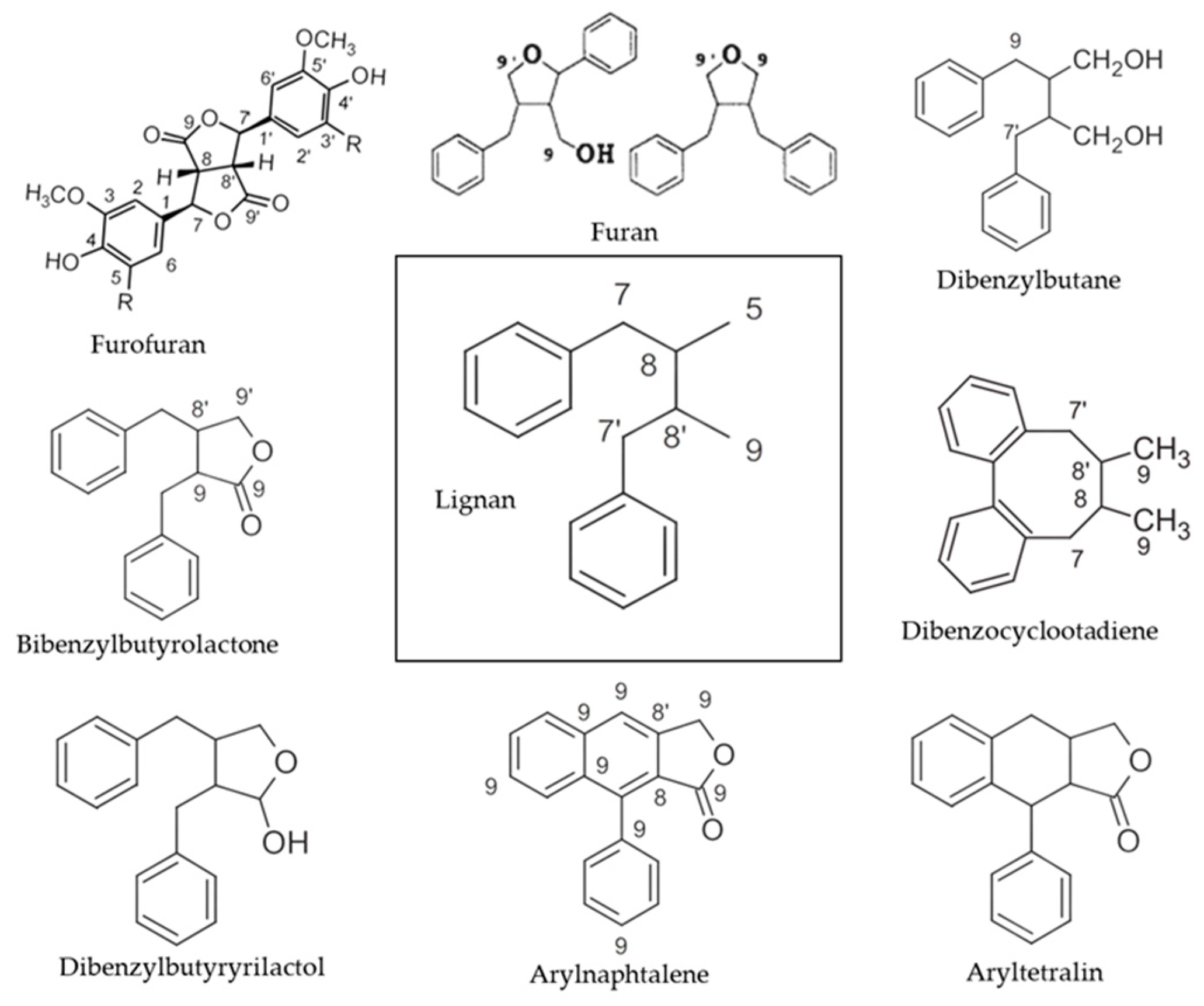 Horticulturae 10 00195 g002