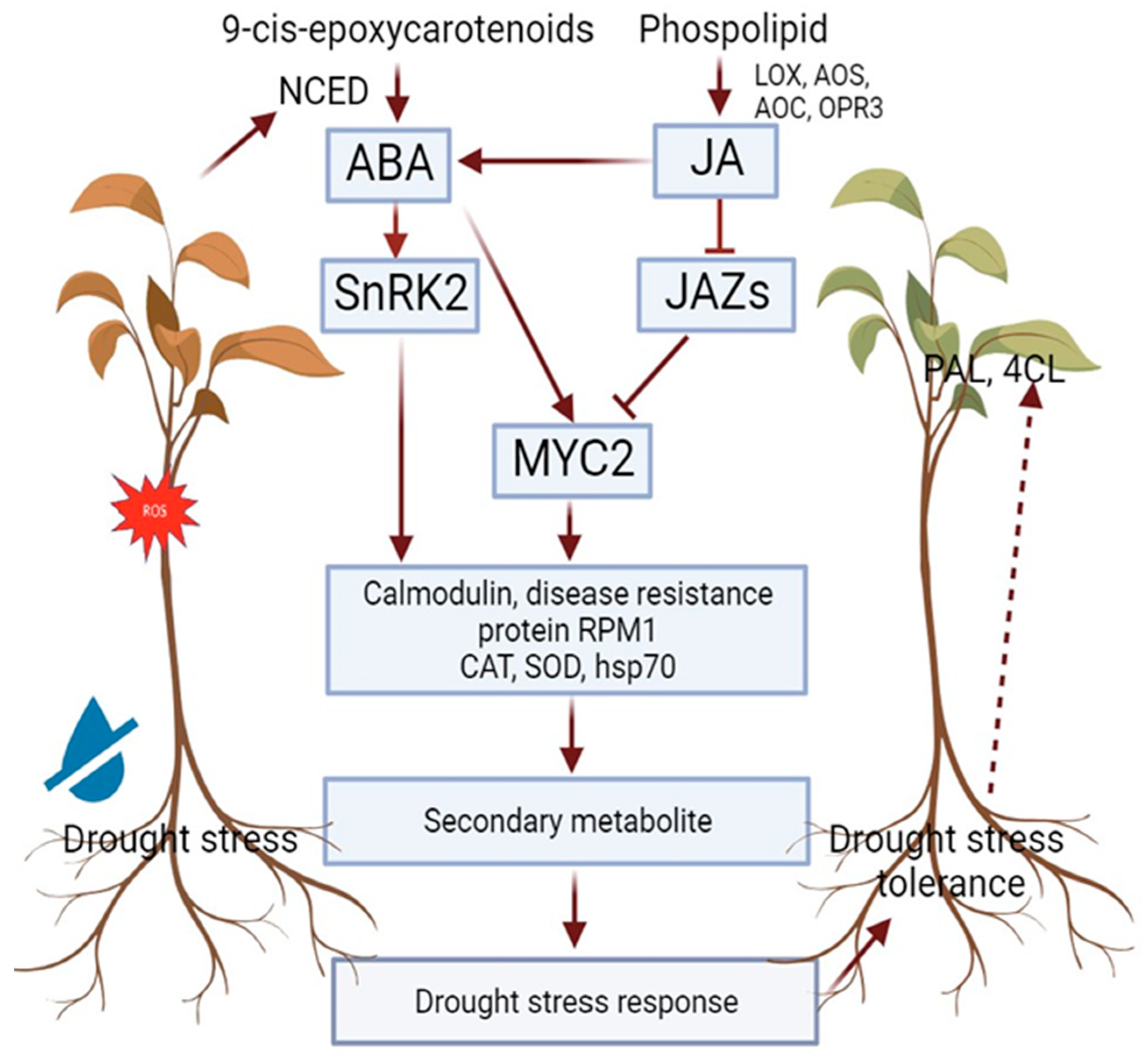 Horticulturae 10 00195 g004