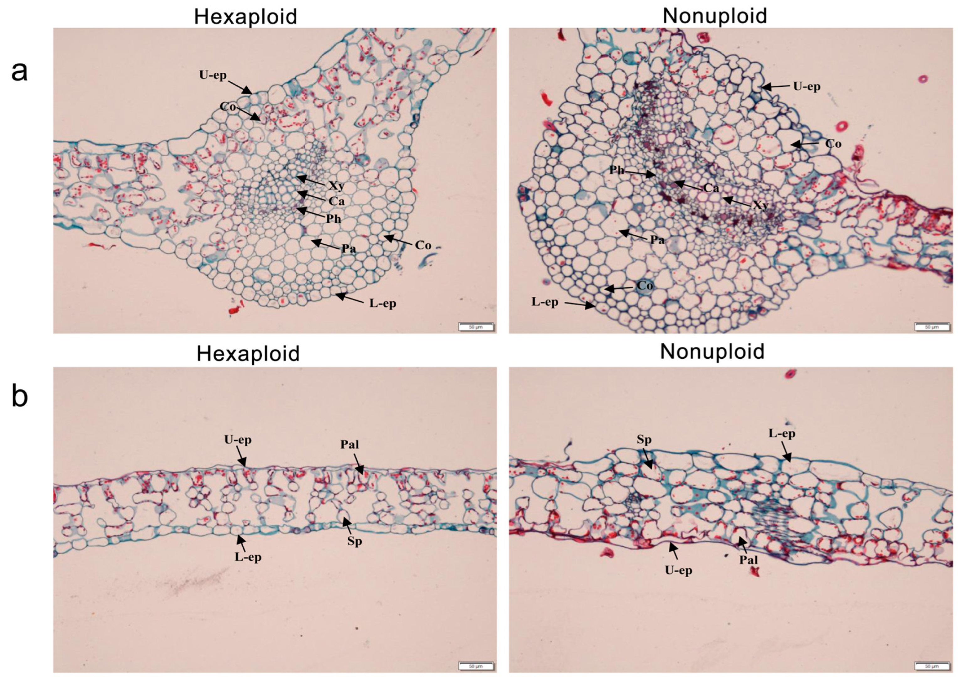 Horticulturae 10 00207 g002