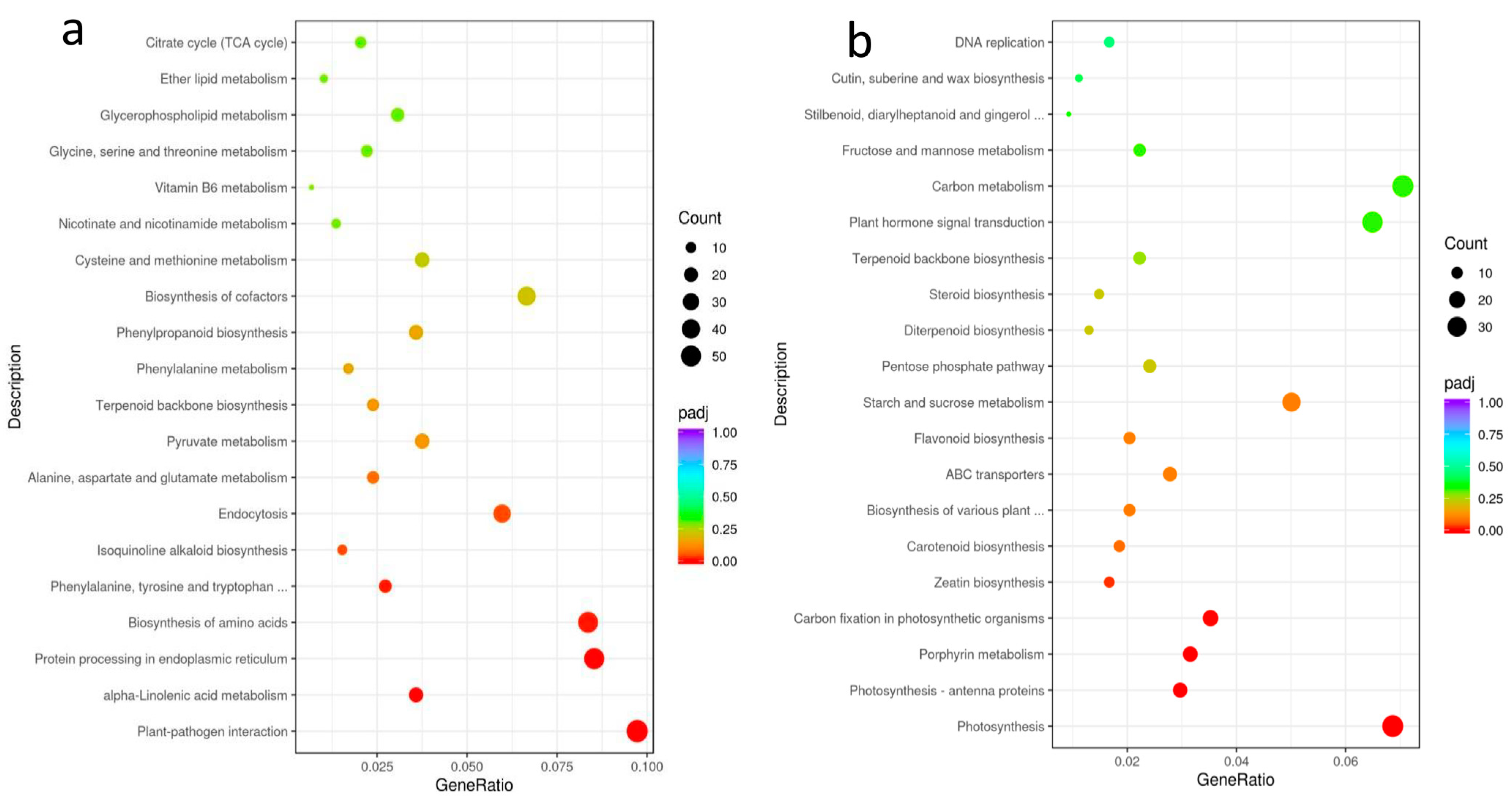 Horticulturae 10 00207 g006