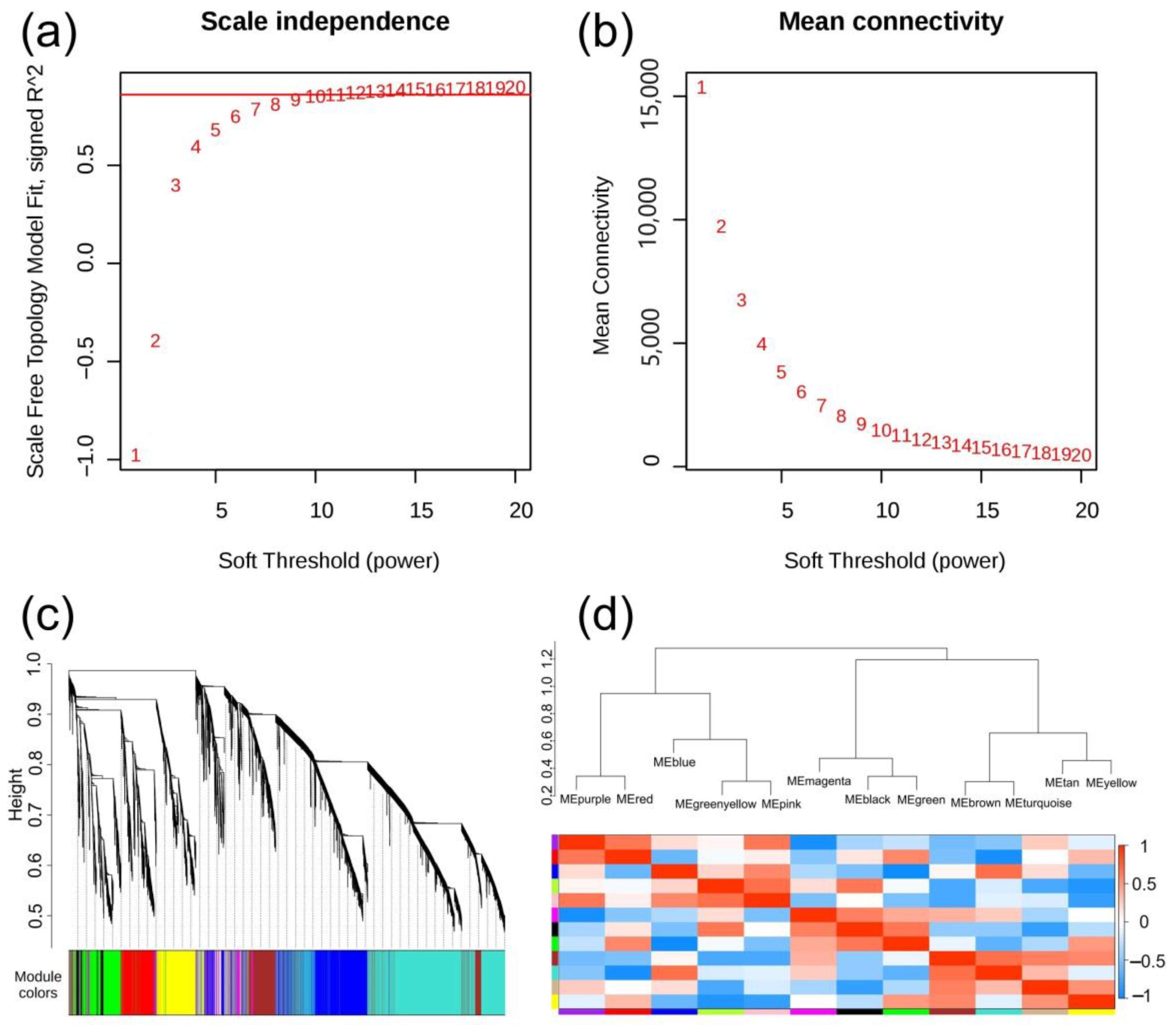 Horticulturae 10 00209 g008