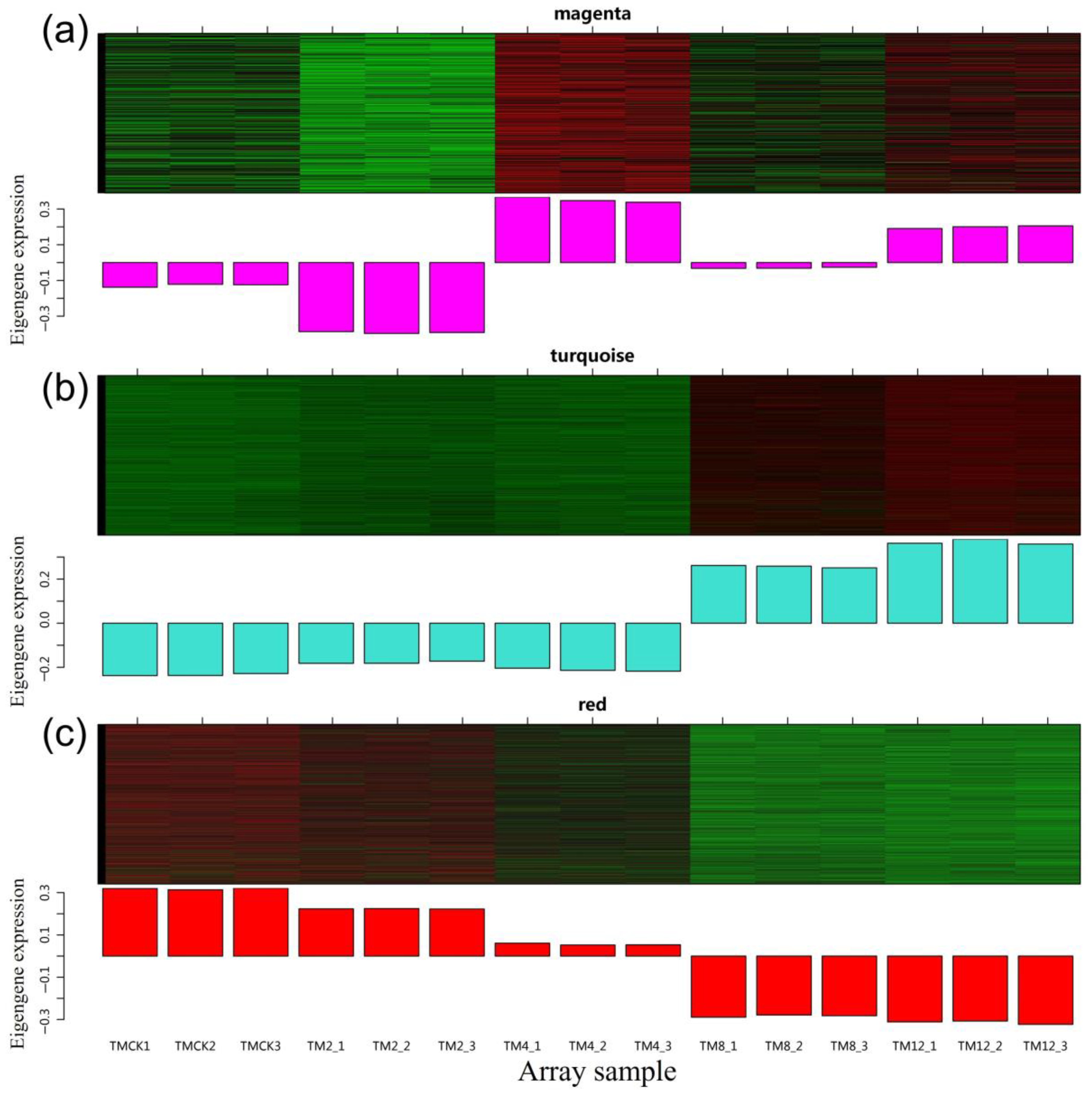 Horticulturae 10 00209 g010