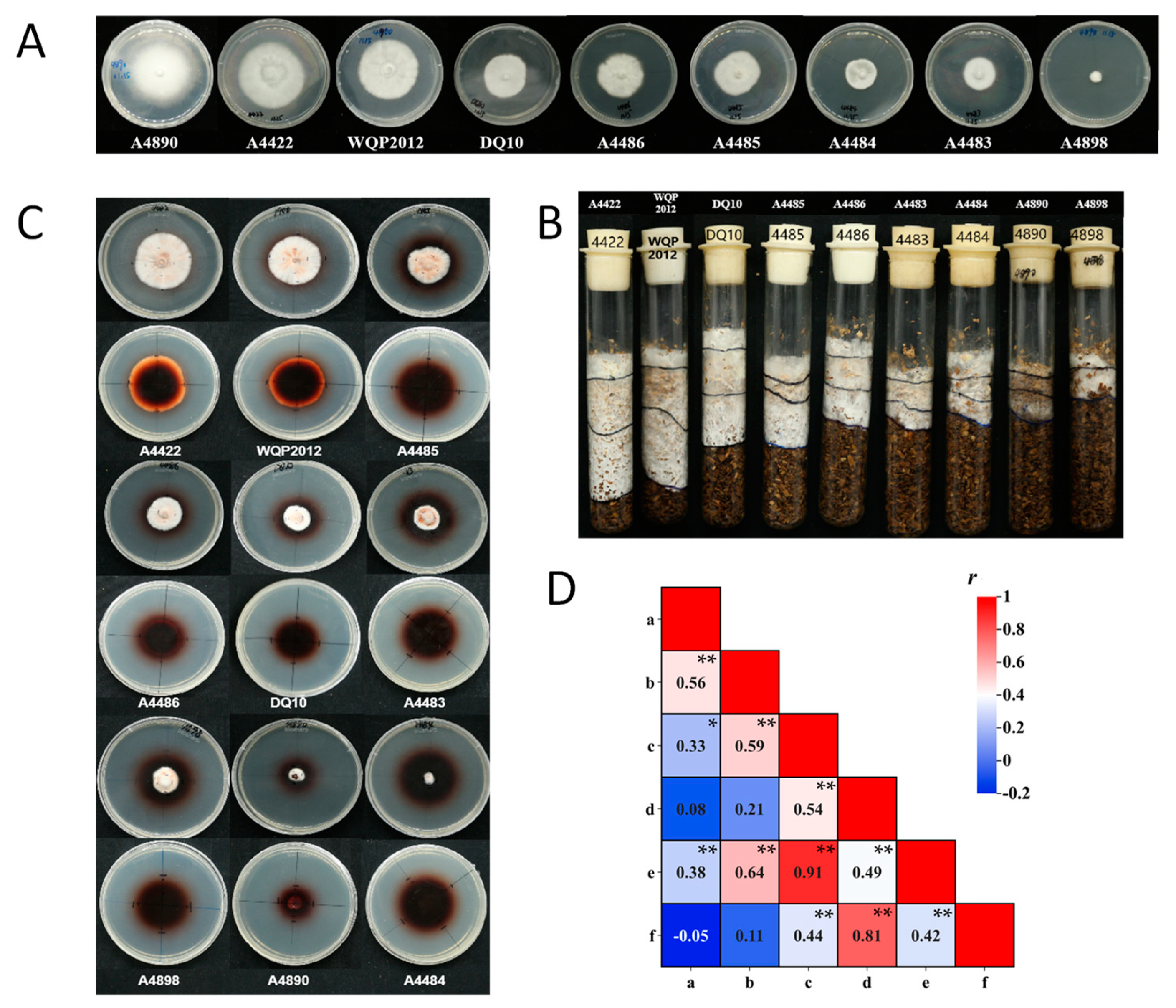 Horticulturae 10 00213 g004 Horticulturae 10 00213 g004