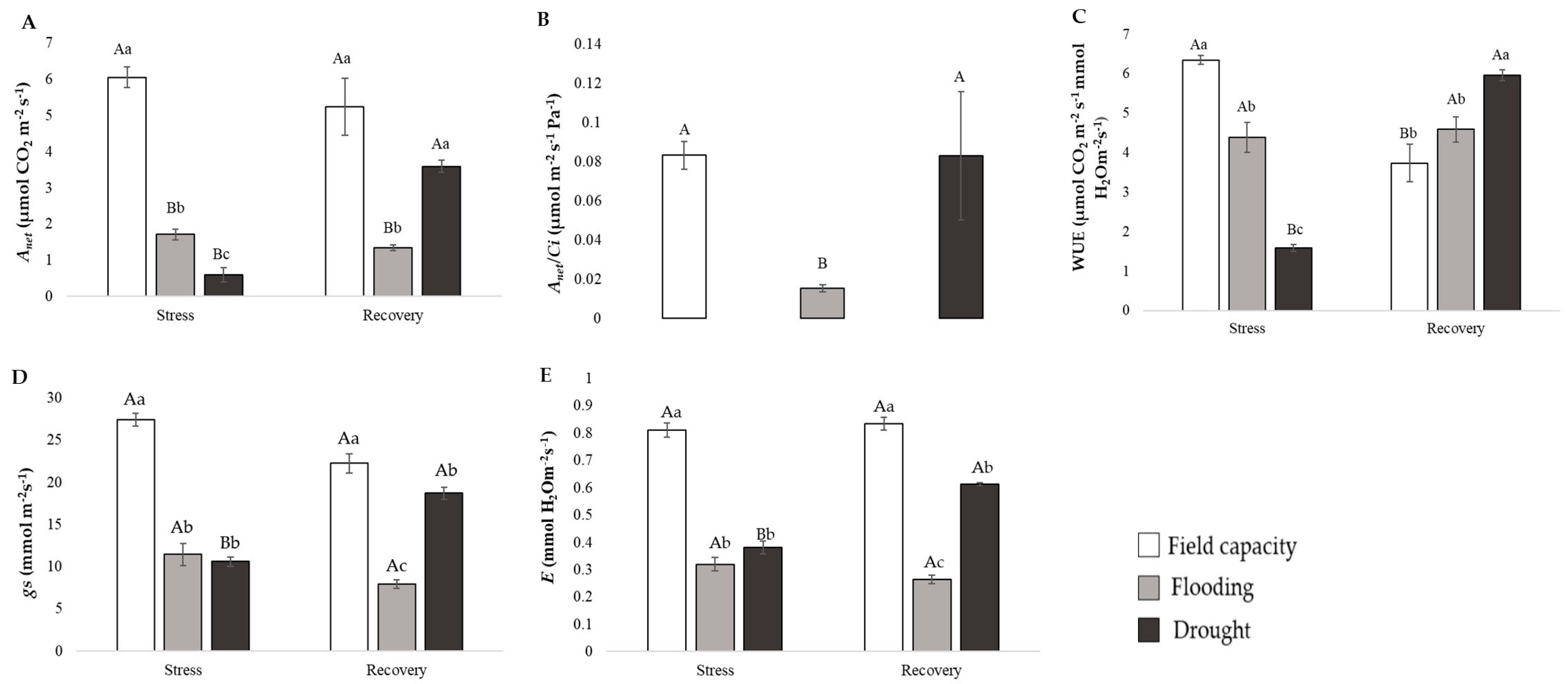 Horticulturae 10 00220 g002 Horticulturae 10 00220 g002