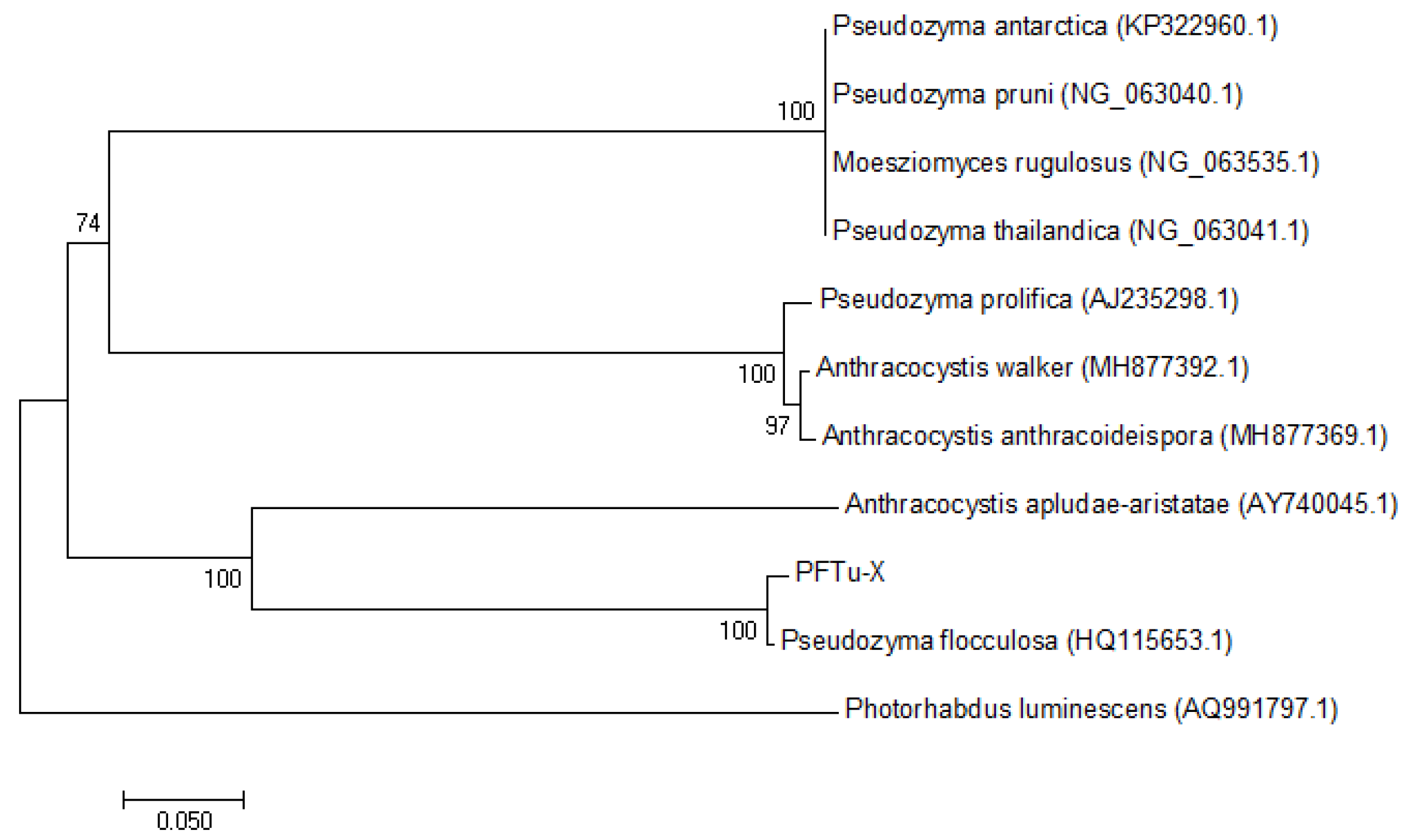 Horticulturae 10 00221 g002