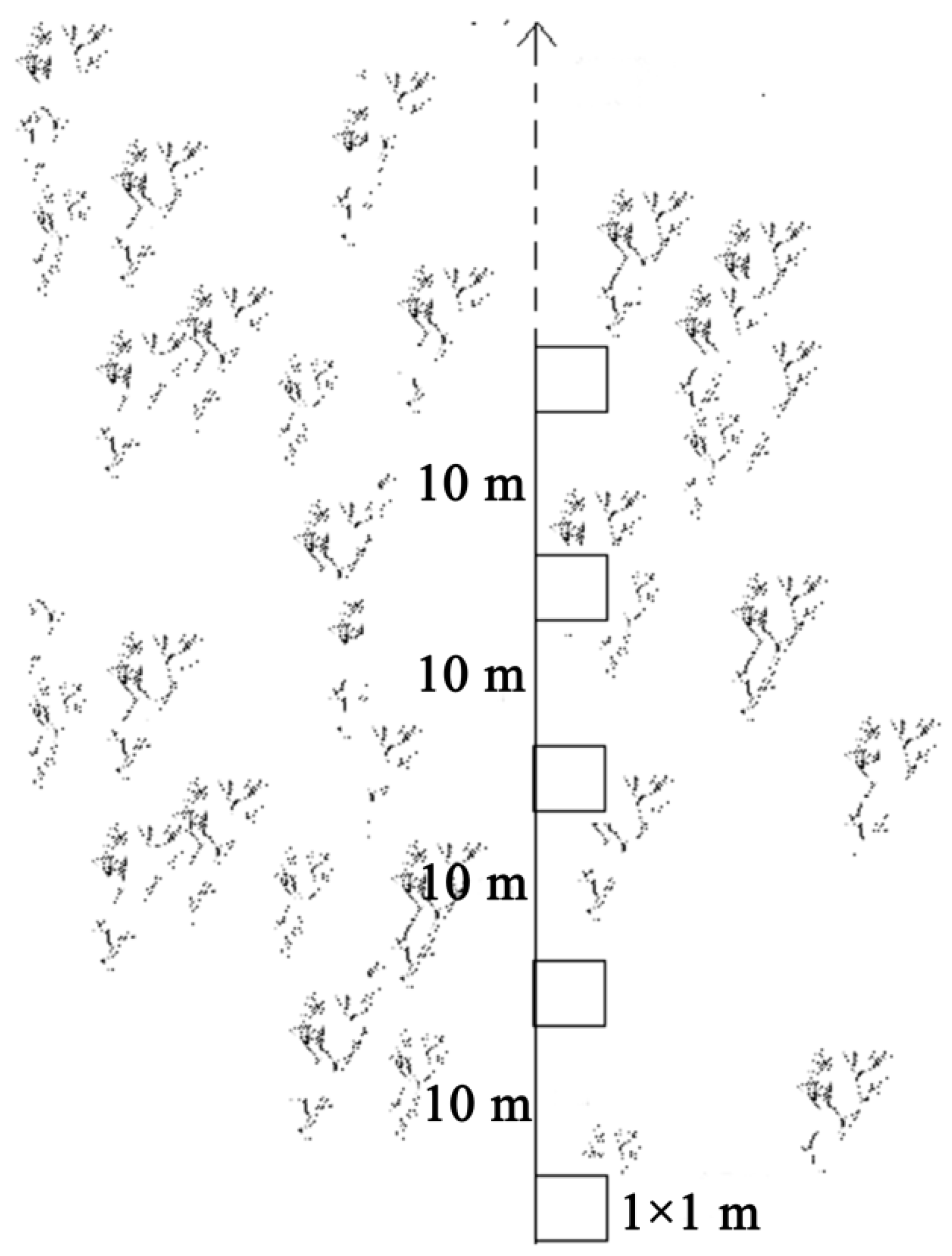 Horticulturae 10 00224 g001