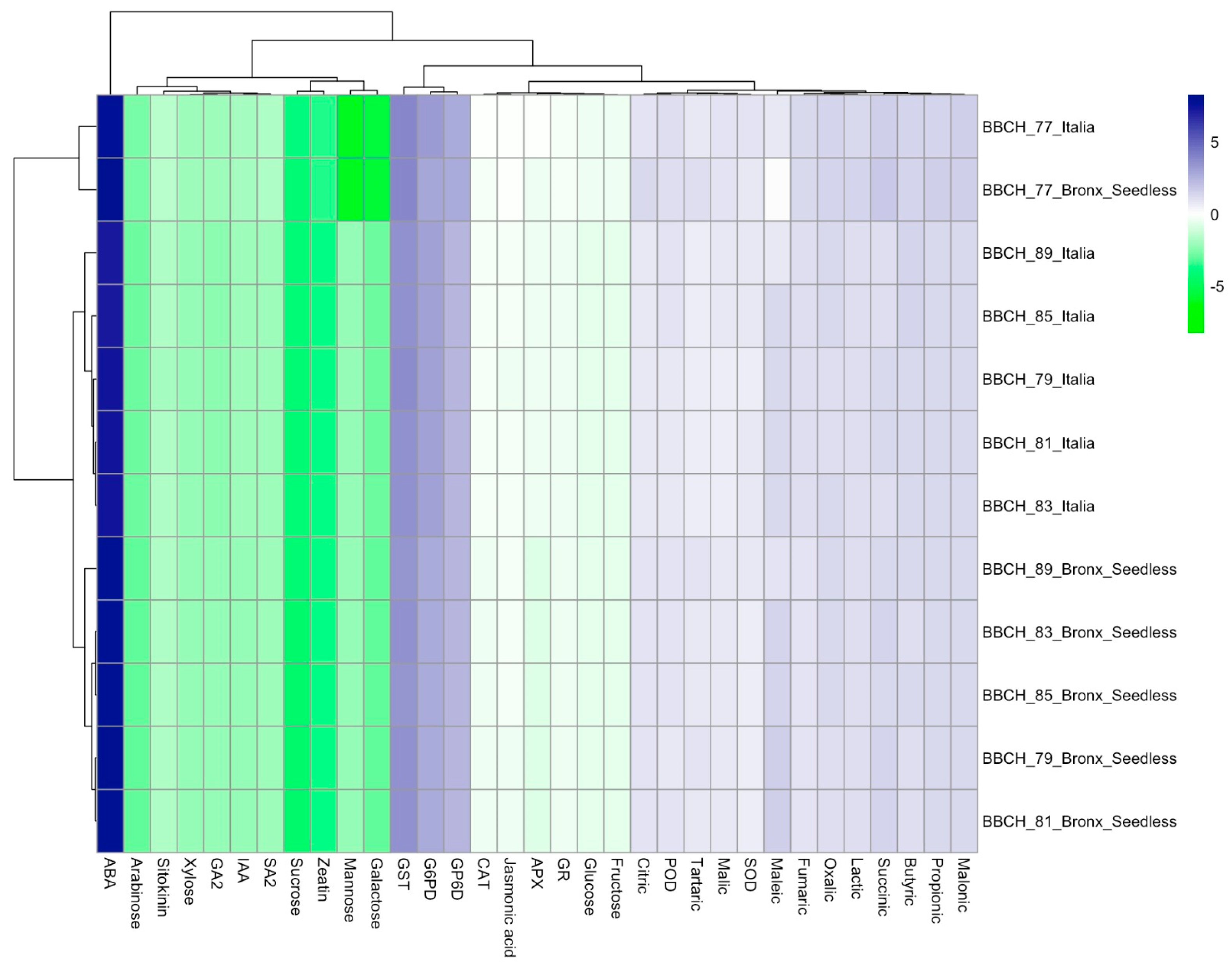 Horticulturae 10 00229 g002