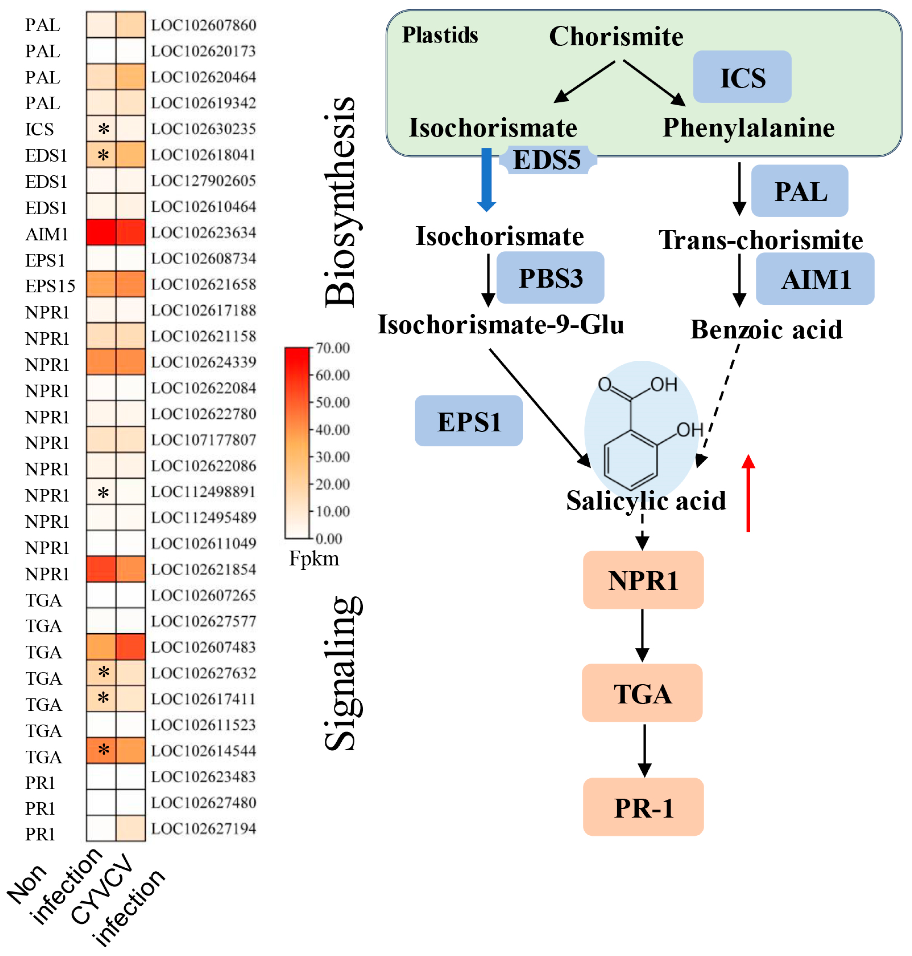 Horticulturae 10 00231 g003 Horticulturae 10 00231 g003