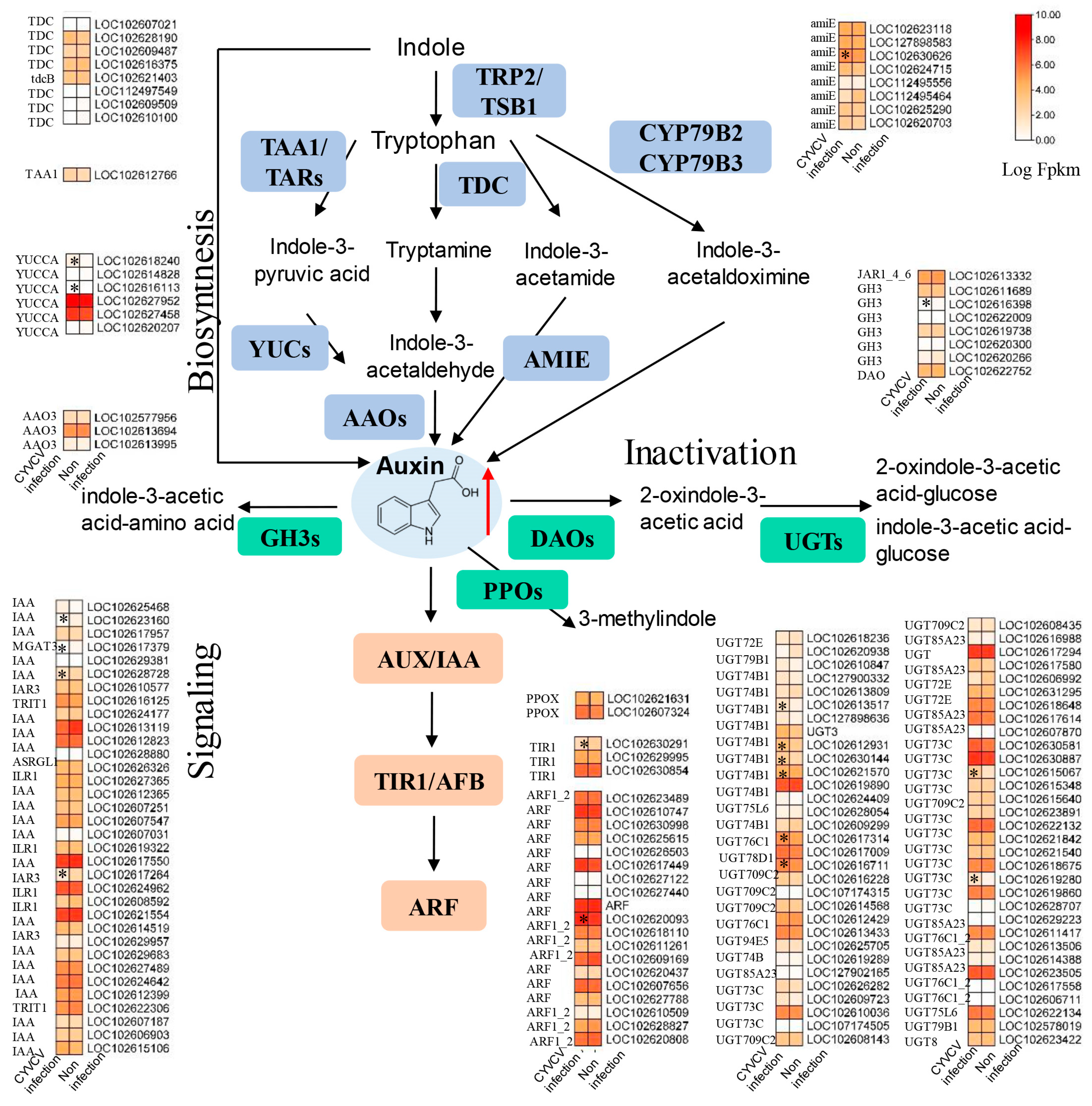 Horticulturae 10 00231 g004 Horticulturae 10 00231 g004