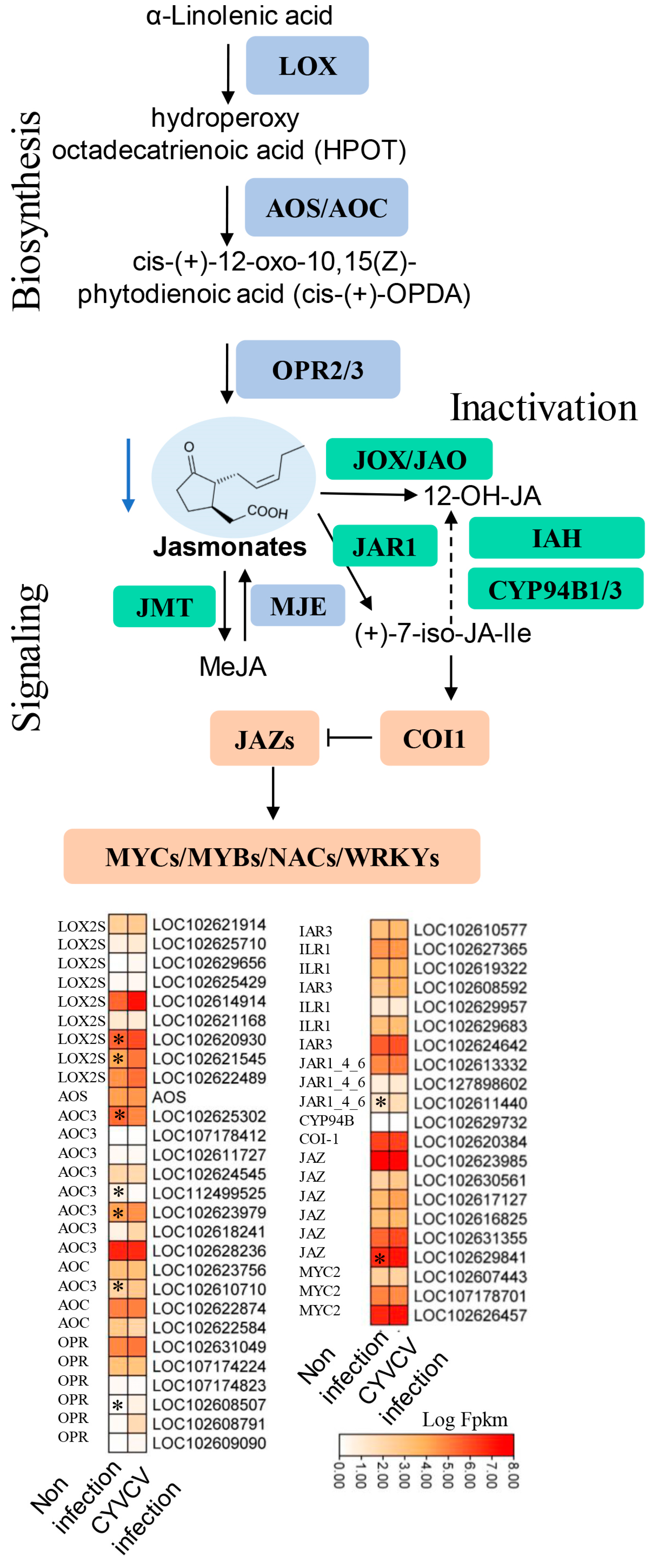 Horticulturae 10 00231 g005 Horticulturae 10 00231 g005
