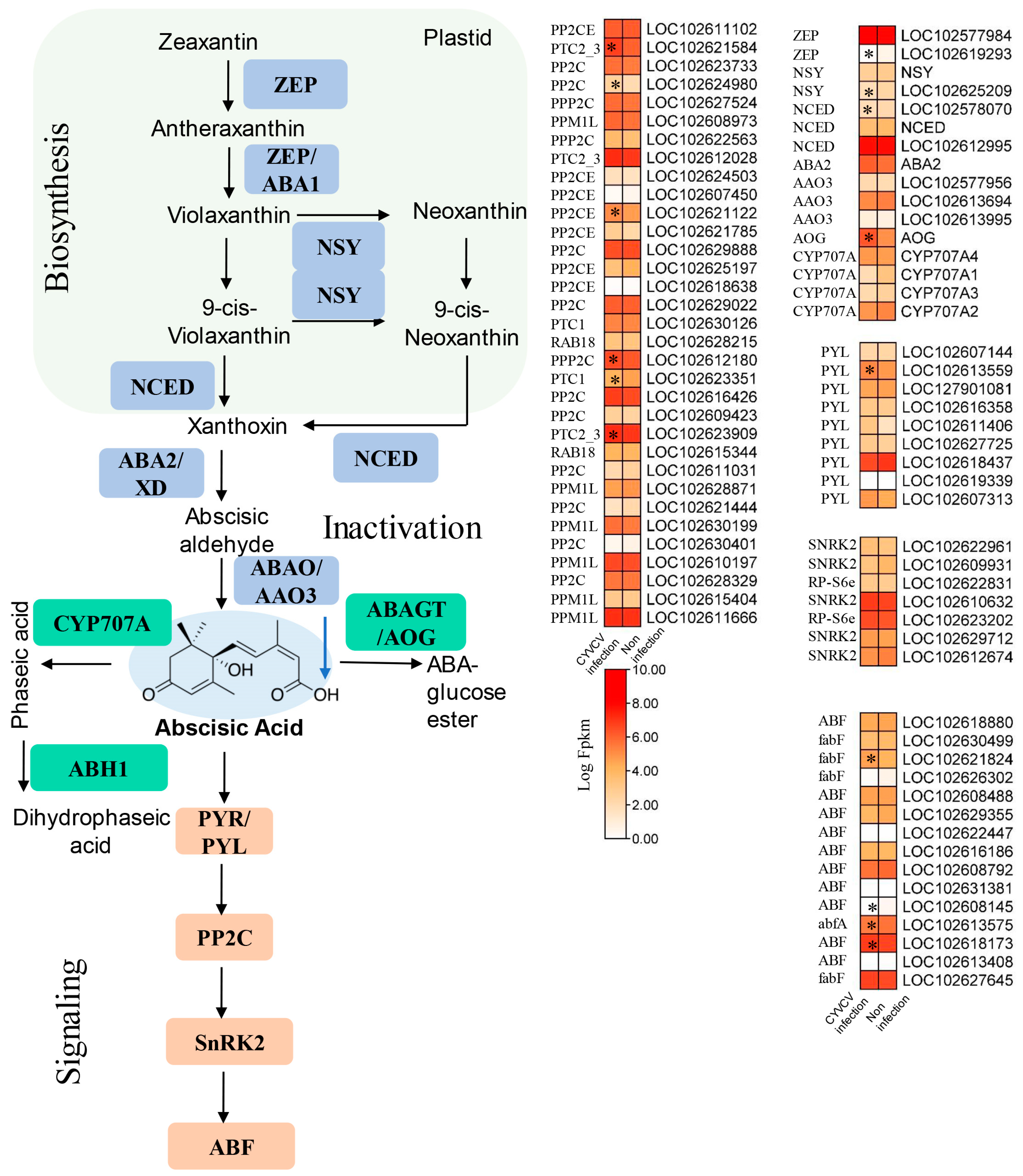 Horticulturae 10 00231 g006 Horticulturae 10 00231 g006