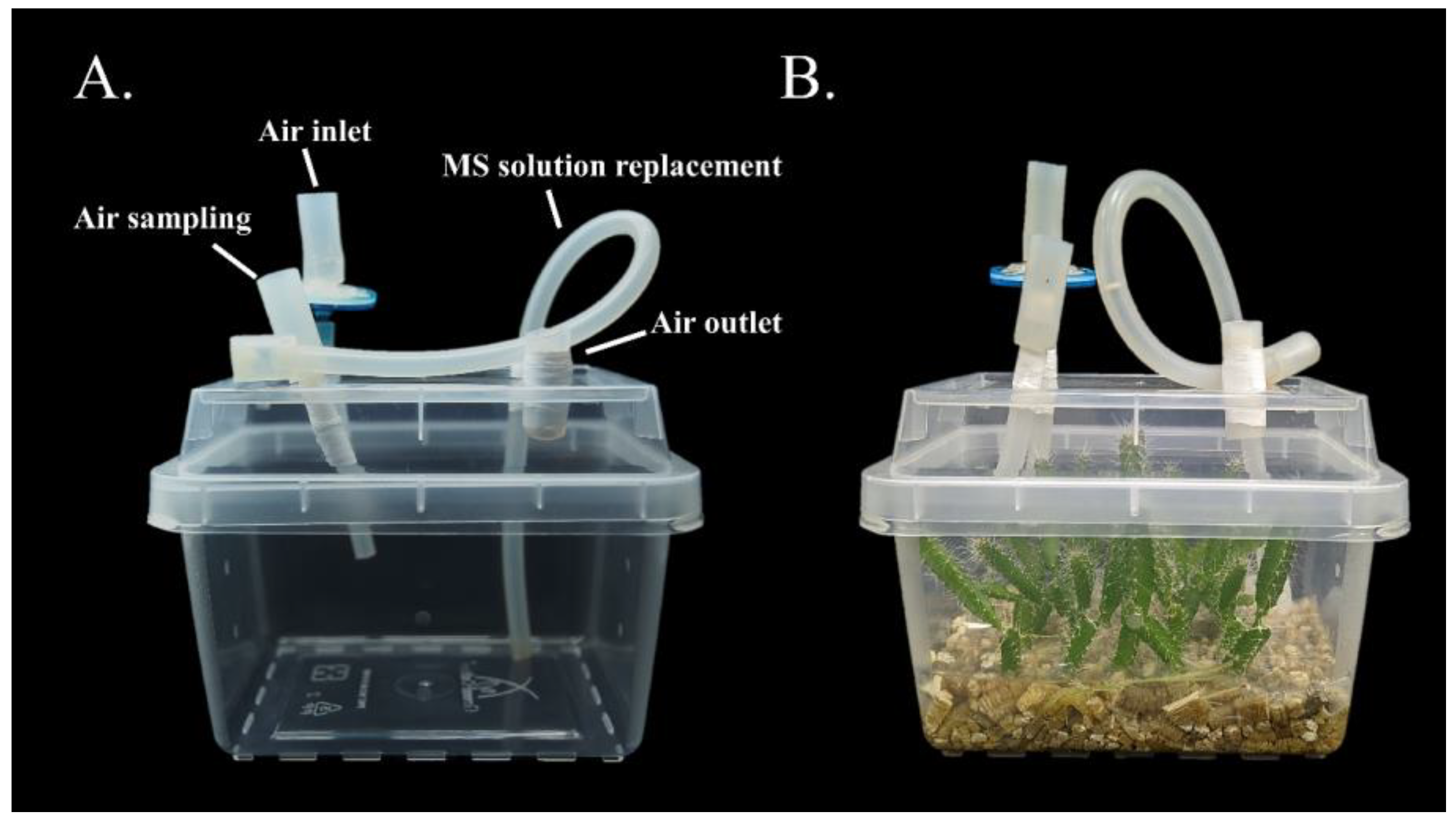 Horticulturae 10 00235 g001