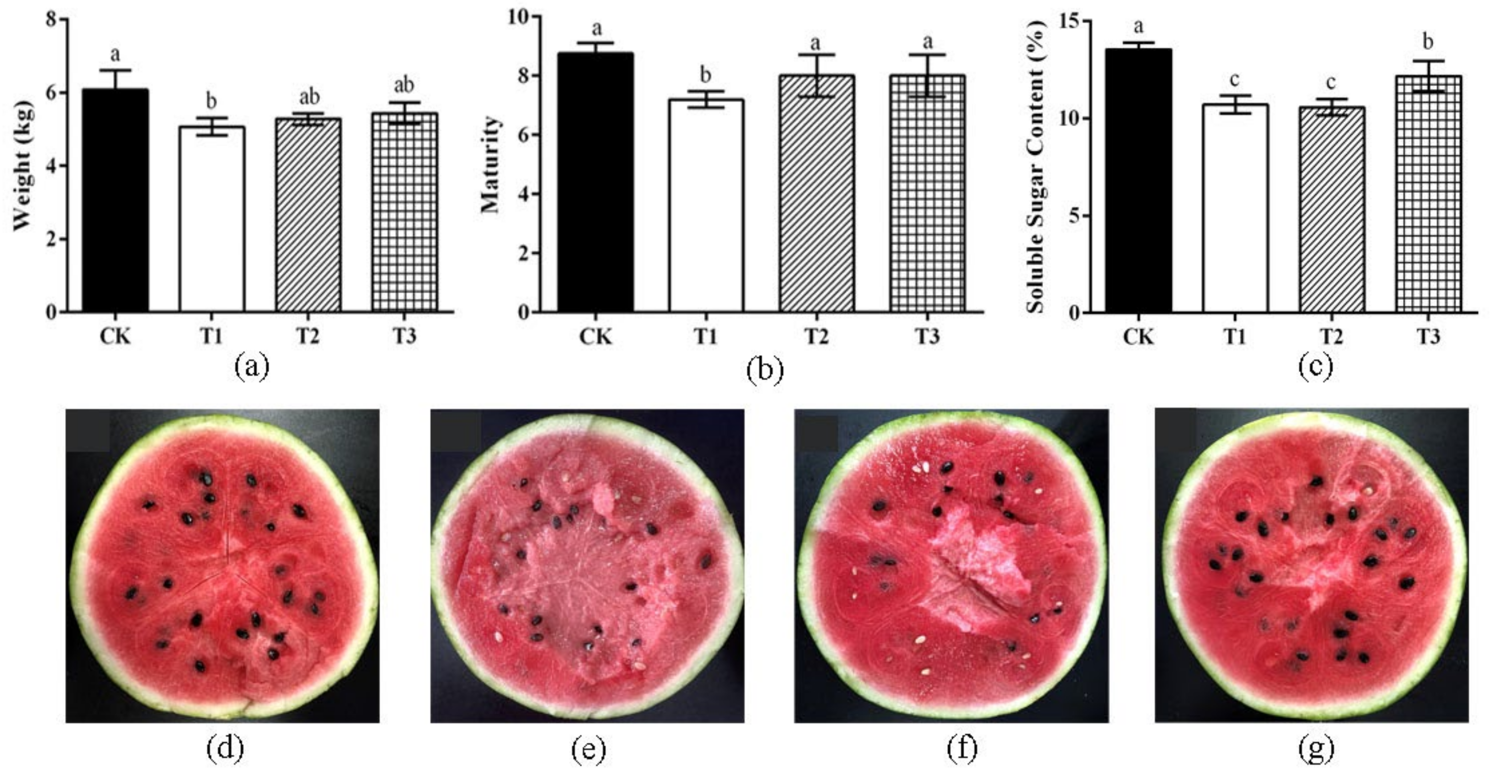 Horticulturae 10 00236 g003
