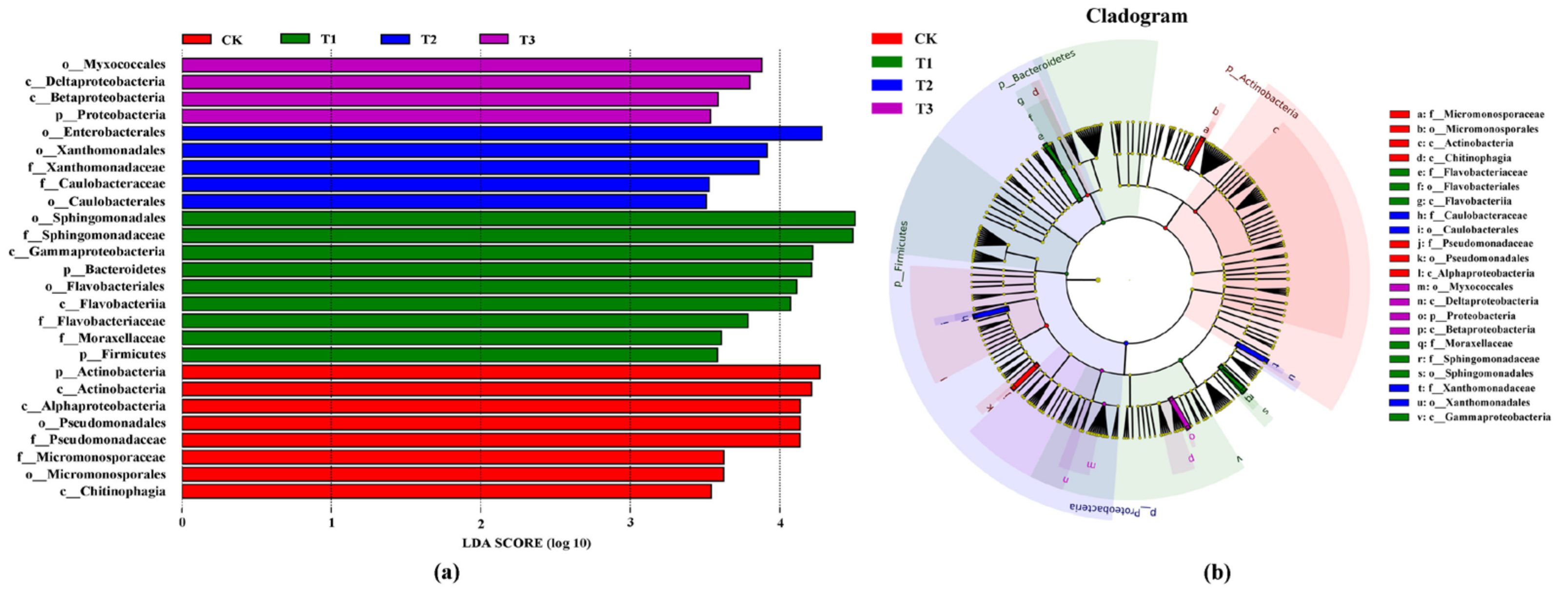 Horticulturae 10 00236 g006