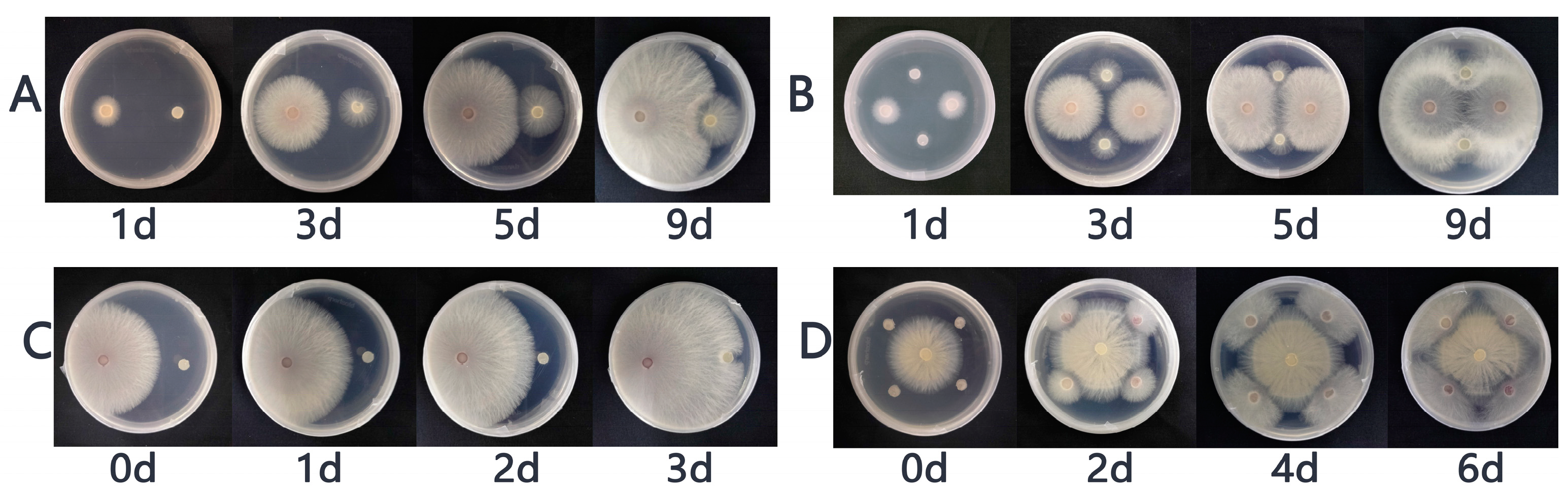 Horticulturae 10 00240 g001 Horticulturae 10 00240 g001