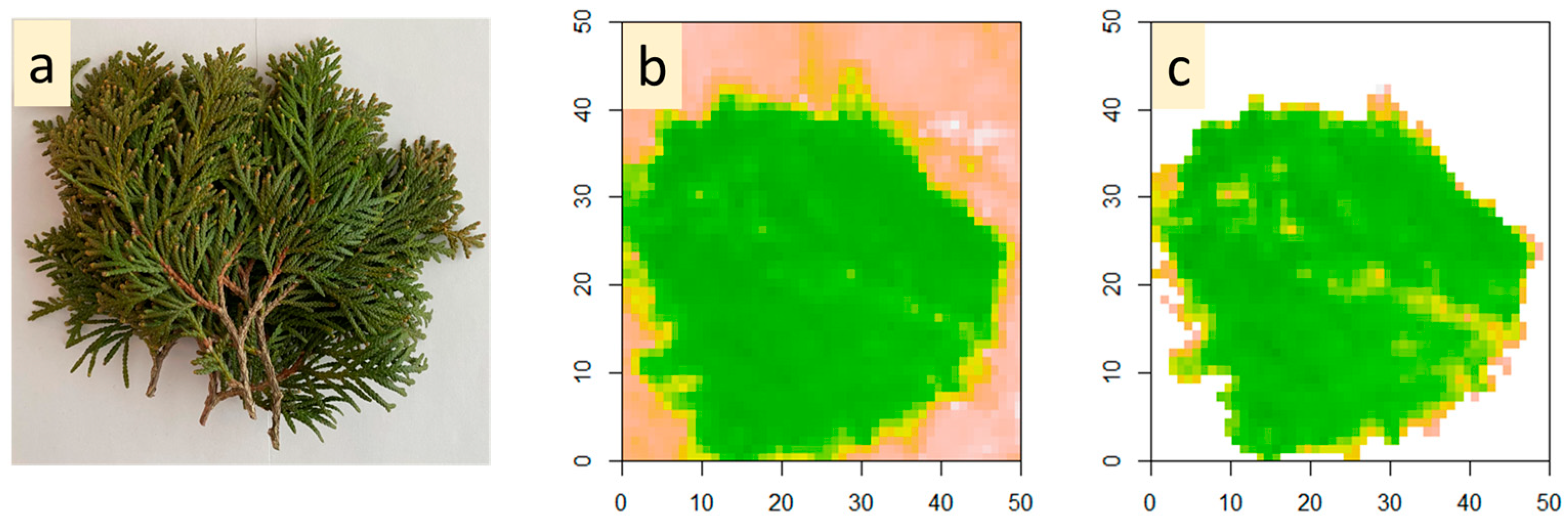 Horticulturae 10 00241 g002